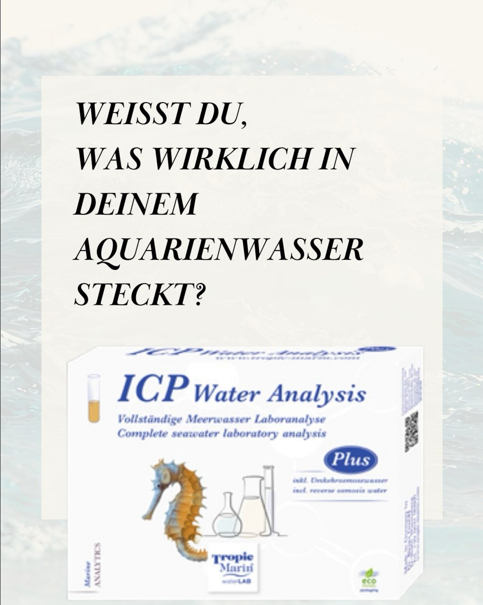 WEIßT DU, WAS WIRKLICH IN DEINEM AQUARIENWASSER STECKT? 🧪🌊
Mit den Tropic Marin Produkten im Fokus bekommst du präzise Analysen und
gezielte Lösungen 💡
Jede Woche neue Themen rund um Meerwasser, Pflege & Technik 🔬✨“
_________________________________________________________________________
DO YOU REALLY KNOW WHATS IN YOUR TANKWATER? 🧪🌊
With a focus on Tropic Marin products, you’ll get accurate analyses and tailored solutions 💡
New topics every week on saltwater, care and technology 🔬✨”
_________________________________________________________________________
#tropicmarintanks #tropicmarin #tropic_marin #aquaunited
#eatsleepreef #allmymoneygoestocoral #reefporn #coralporn #reefaholics #aquarium #saltwateraquarium #nanoreef #reeftanks #euroreefers #reef2reef #reefers4reefers #vitaminsea #seafari #scireef
@tropicmarinusa @tropicmarinbr @tropic_marinarg @tropicmarinperu @aquarium_planet_cr @scireef @aqua.united.gmbh