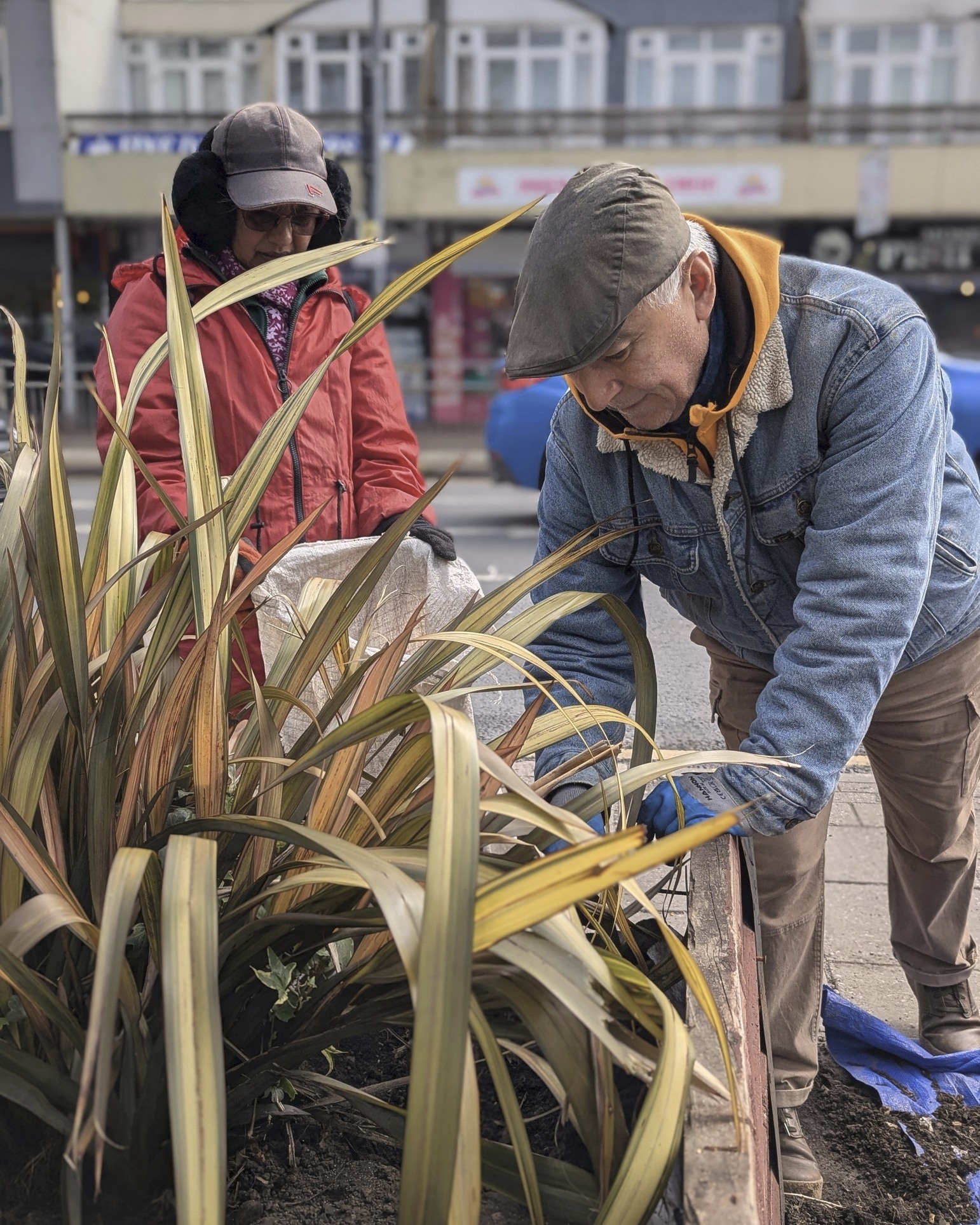 Refreshing on-street planters on #AlcesterRoad in #BalsallHeath this week. If you're a local, you may just walk past these planters every day!
