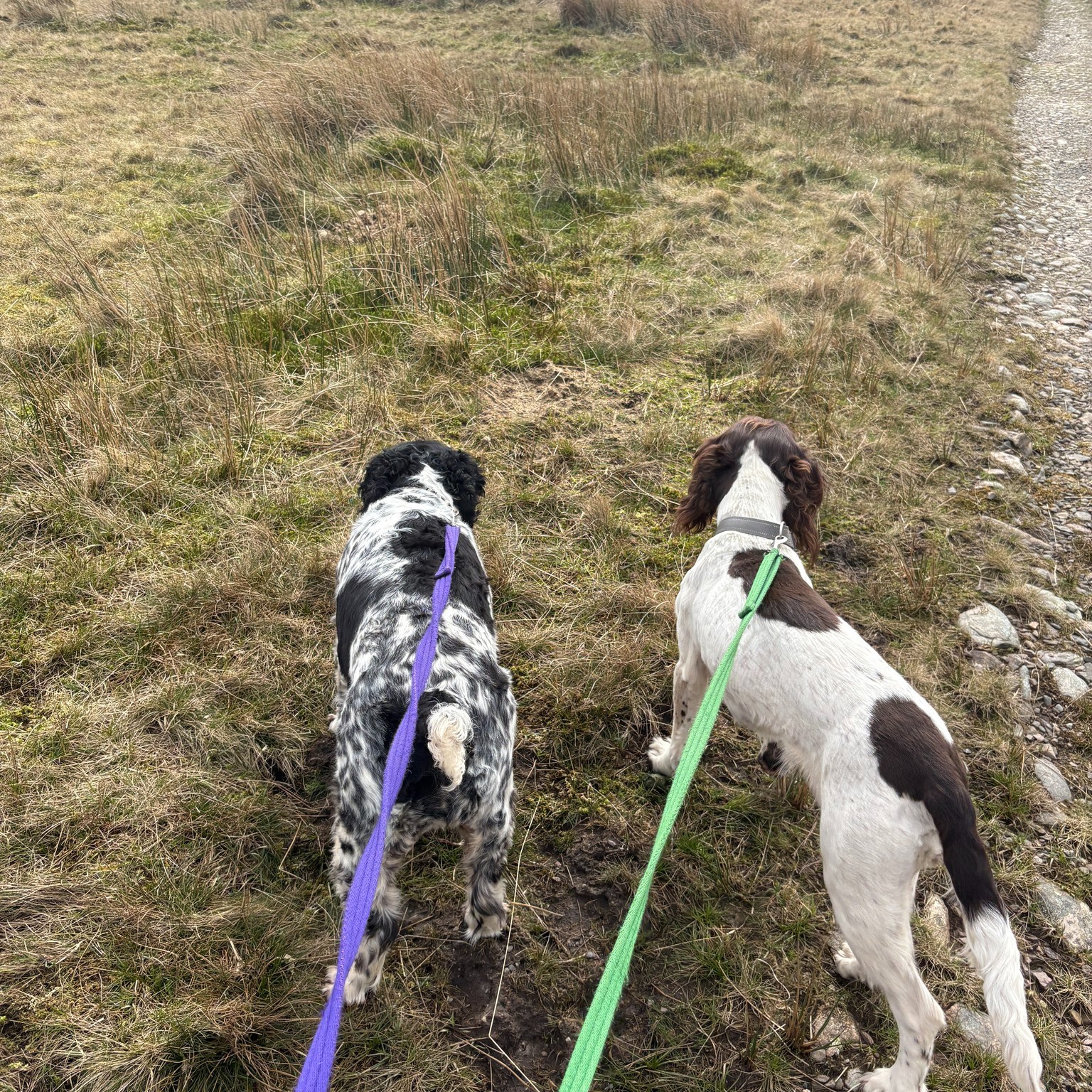 Millie, Mason and Maeve π€©