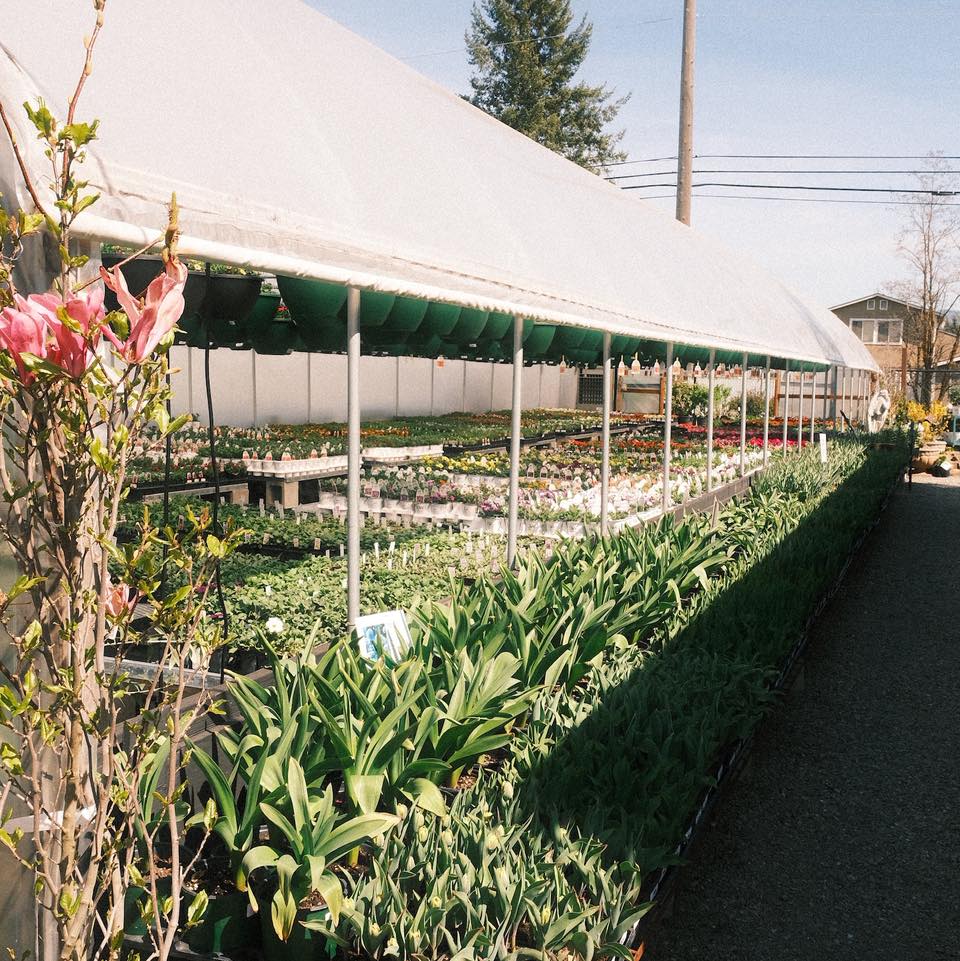 Happy Sunday!! It’s a perfect day to grab a wagon and stroll through our greenhouses and aisles of lush plants. We hope to see you soon! 🌱