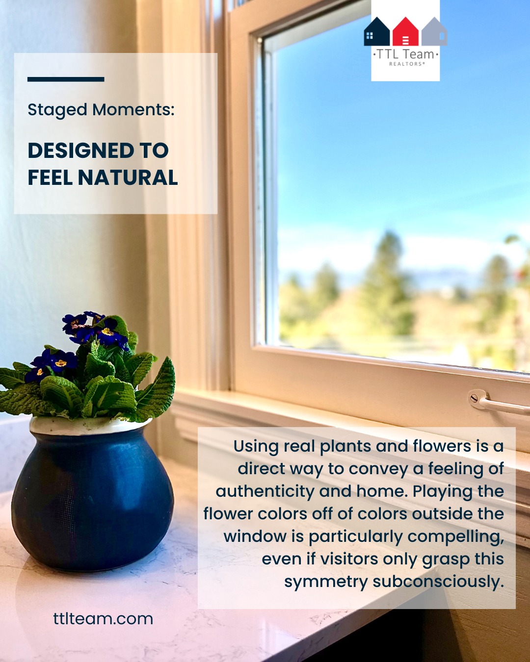 todd.tania.lisa.realtors