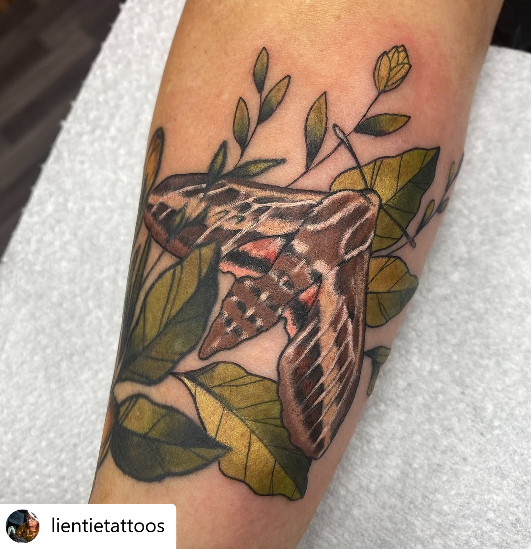 @lientietattoos Added a moth on to an existing piece the other day- this was an extension of some flowers and leaves. So added a few extra leaves on too for it to sit by ✨
#tattoo #tattoos #neotradtattoo #mothtattoo #colourtattoo