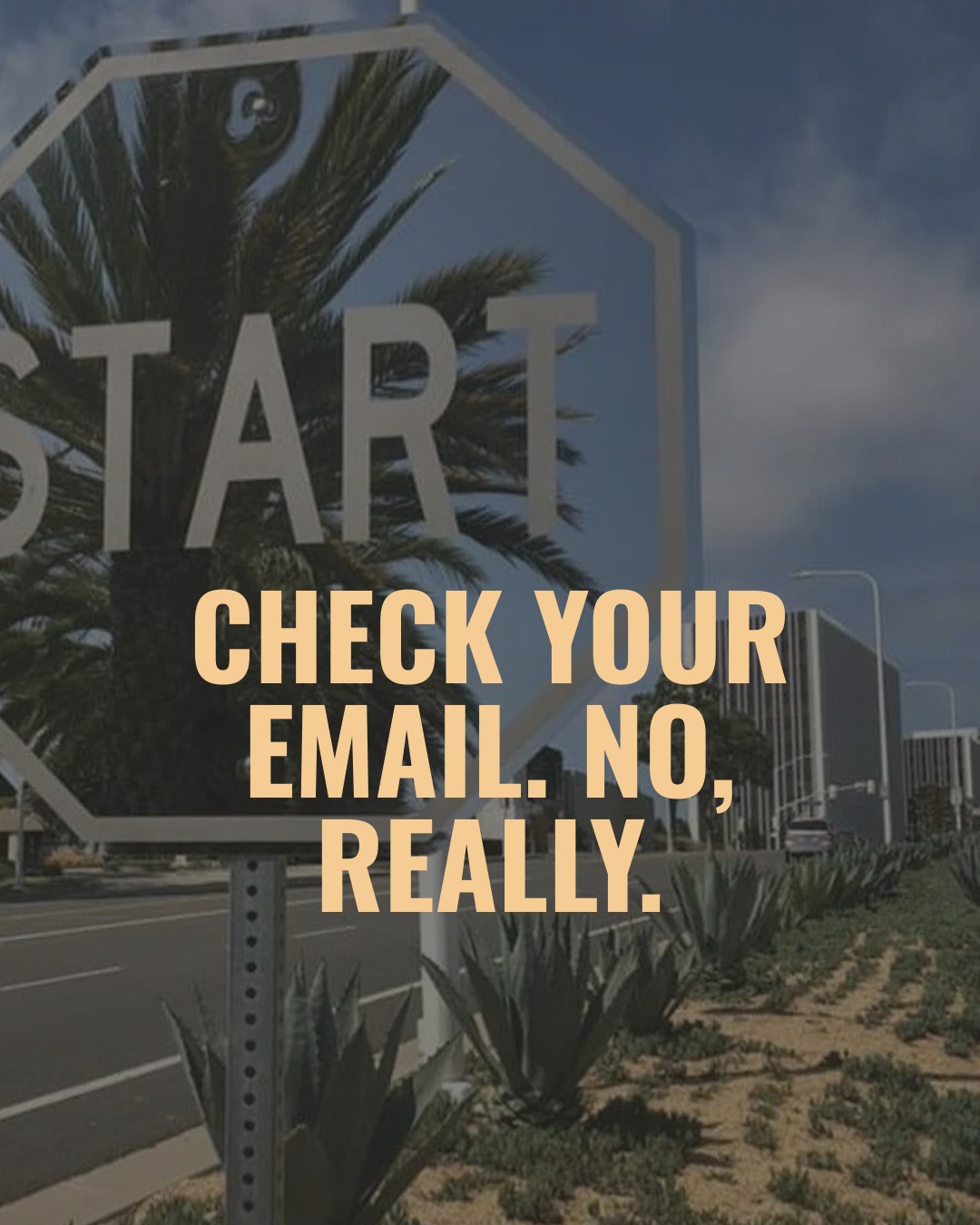New substack post is up — and it's a practical one.
Checking your email. daily. I know it sounds obvious but I have sent show acceptance emails that sat unread for four days. four days!! so we're talking about it — email habits, organization systems, inbox overwhelm, all of it. including what I'm doing on my end to send less.
Link in bio or find it at shoeboxarts dot com
Also — if you've been reading and finding this stuff useful, this is me asking you to consider subscribing. paid subscriptions keep all of it going. the free tuesday conversations, the resource library, the guides. we're independent and artist-focused and that's only possible because of people who show up and support the work.
Every bit helps. genuinely.
#shoeboxarts #artistresources #artscommunity #emailtips #artistlife
artwork by @sfroschauerart