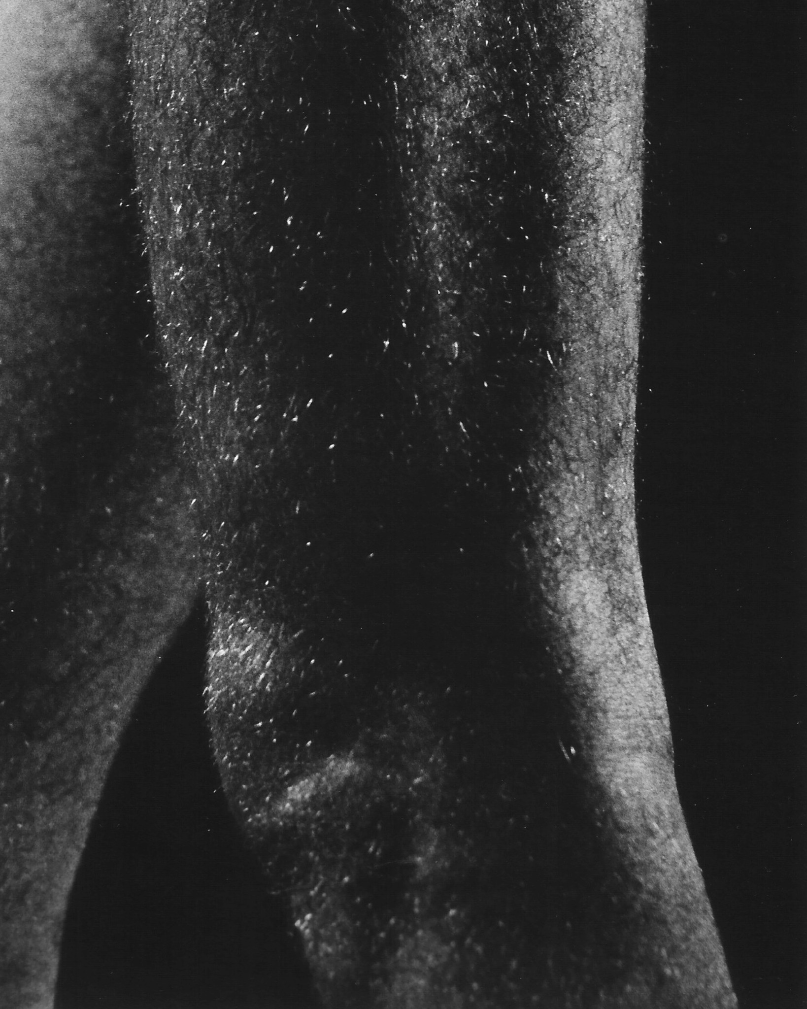 A exposição "Espaço