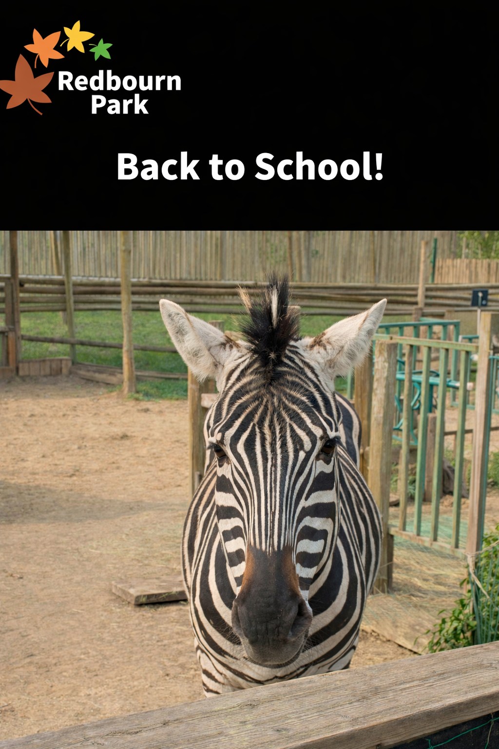 From zoo adventures to classroom learning! π¦β¨
After an exciting end to last term, weβre looking forward to welcoming everyone back tomorrow.
Letβs make this term just as special π