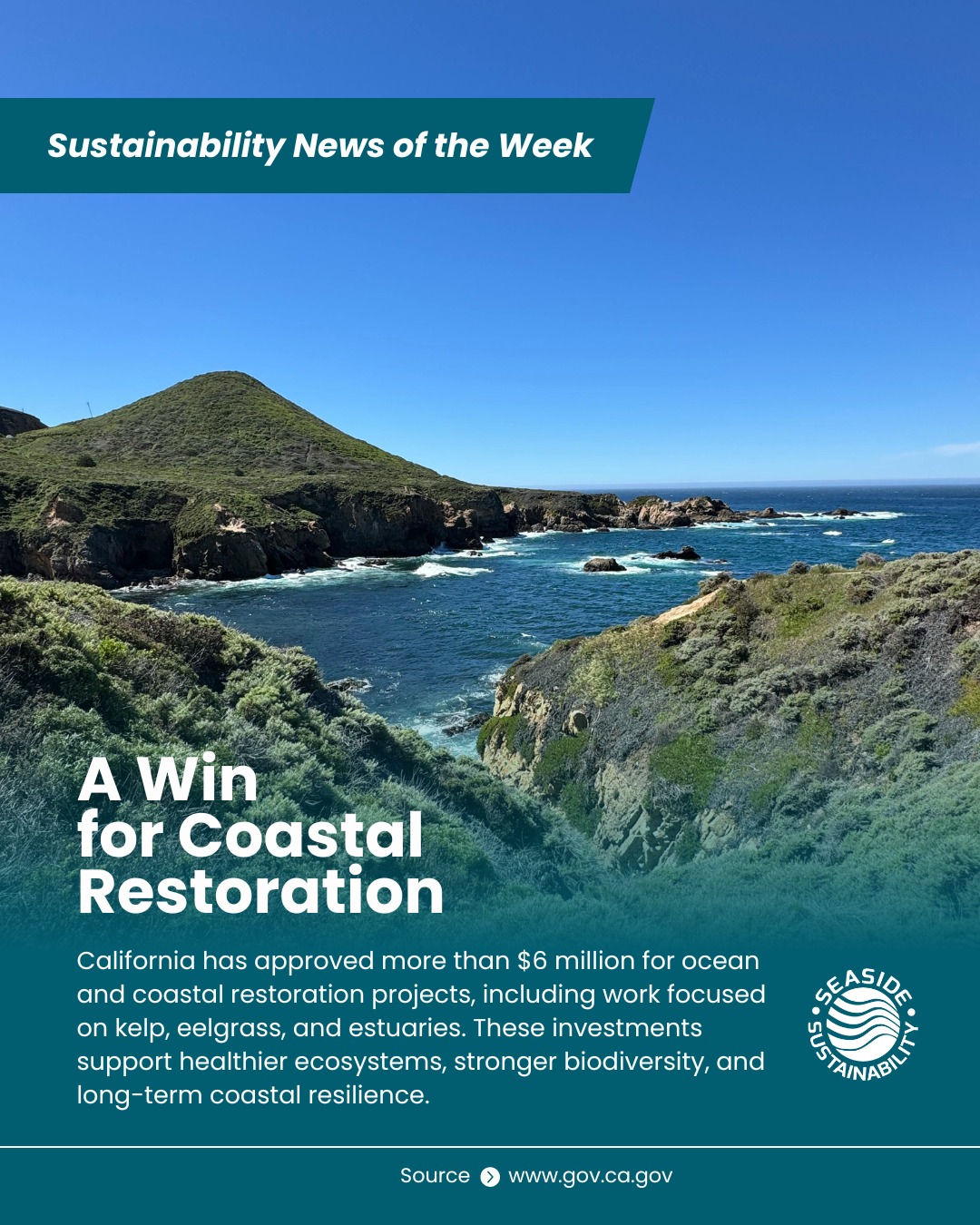 California has released its first California Coast and Ocean Report and approved more than $6 million for projects that support healthier coastal ecosystems. The funding will help advance restoration work for kelp, eelgrass, and estuaries while supporting biodiversity and long-term coastal resilience. The state also connected this work to its goal of conserving 30% of coastal waters by 2030.
Source: www.gov.ca.gov
#seasidesustainability #PositiveNews #oceanprotection #california