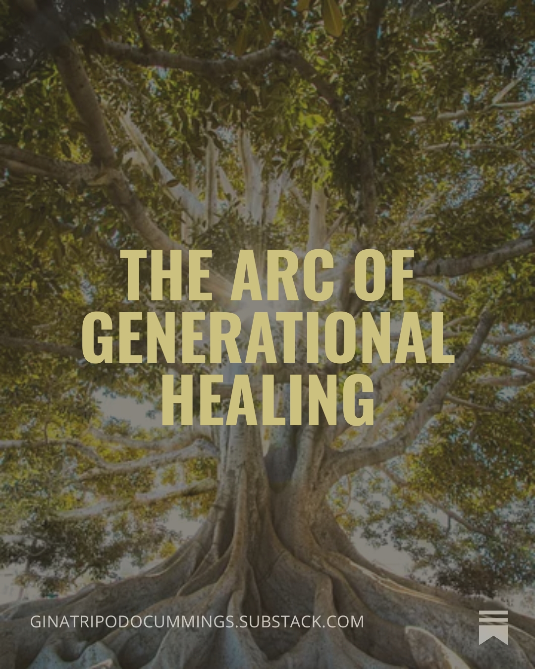 Three months ago, I was faced with a dynamic that mirrored one of my deepest wounds.
Same pattern.
Same distortion.
Same erasure.
But this time… I didn’t break.
I responded with clarity.
With grounding.
With compassion — without abandoning myself.
And in that moment, I realized I had reached a stage of healing I didn’t even know existed.
In my newest Substack, I’m sharing The Arc of Generational Healing — the stages we move through, and what it really looks like to become the one who breaks the pattern.
Not perfectly.
But powerfully.
If you’re in the middle of your healing journey, this will meet you there.
Read the full post on Substack (link in bio). 💛
#healwithgina #generationalhealing #traumahealing #innerwork #healingjourney #BreakTheCycle #Reparenting #SelfWorthJourney #NervousSystemHealing #AttachmentHealing