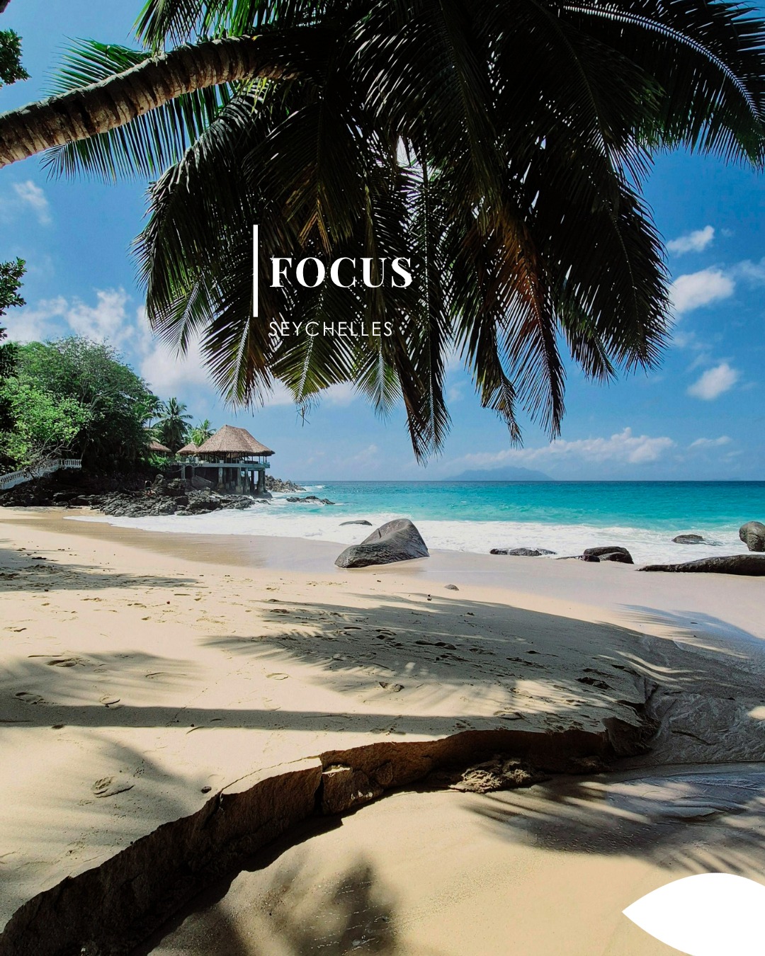 🌴✈️ LES SEYCHELLES – LE PARADIS SUR TERRE
Eaux turquoise, sable blanc immaculé, rochers de granit sculptés par le temps…
Les Seychelles incarnent tout simplement l’image du paradis 🌊✨
Un archipel d’exception au cœur de l’océan Indien, idéal pour un voyage inoubliable entre détente, luxe naturel et déconnexion totale.
💙 Ce qui vous attend :
Plages parmi les plus belles du monde (Anse Lazio, Anse Source d’Argent…)
Lagons translucides et snorkeling exceptionnel
Hôtels de charme et resorts d’exception
Nature préservée et ambiance paisible
Îles variées à explorer : Mahé, Praslin, La Digue…
🌺 Les Seychelles, c’est la promesse d’un voyage hors du temps, entre douceur tropicale et paysages de carte postale.
✈️ Départs depuis la France
🌍 Séjours sur mesure adaptés à vos envies
💼 L’expertise Fontana Tourisme pour un voyage sans stress
👉 Envie de vivre les Seychelles ? Contactez-nous pour votre projet sur mesure
#Seychelles #VoyageDeReve #OceanIndien #VoyageSurMesure #FontanaTourisme #PlagesDeReve #LuxeNature #Voyage2026
