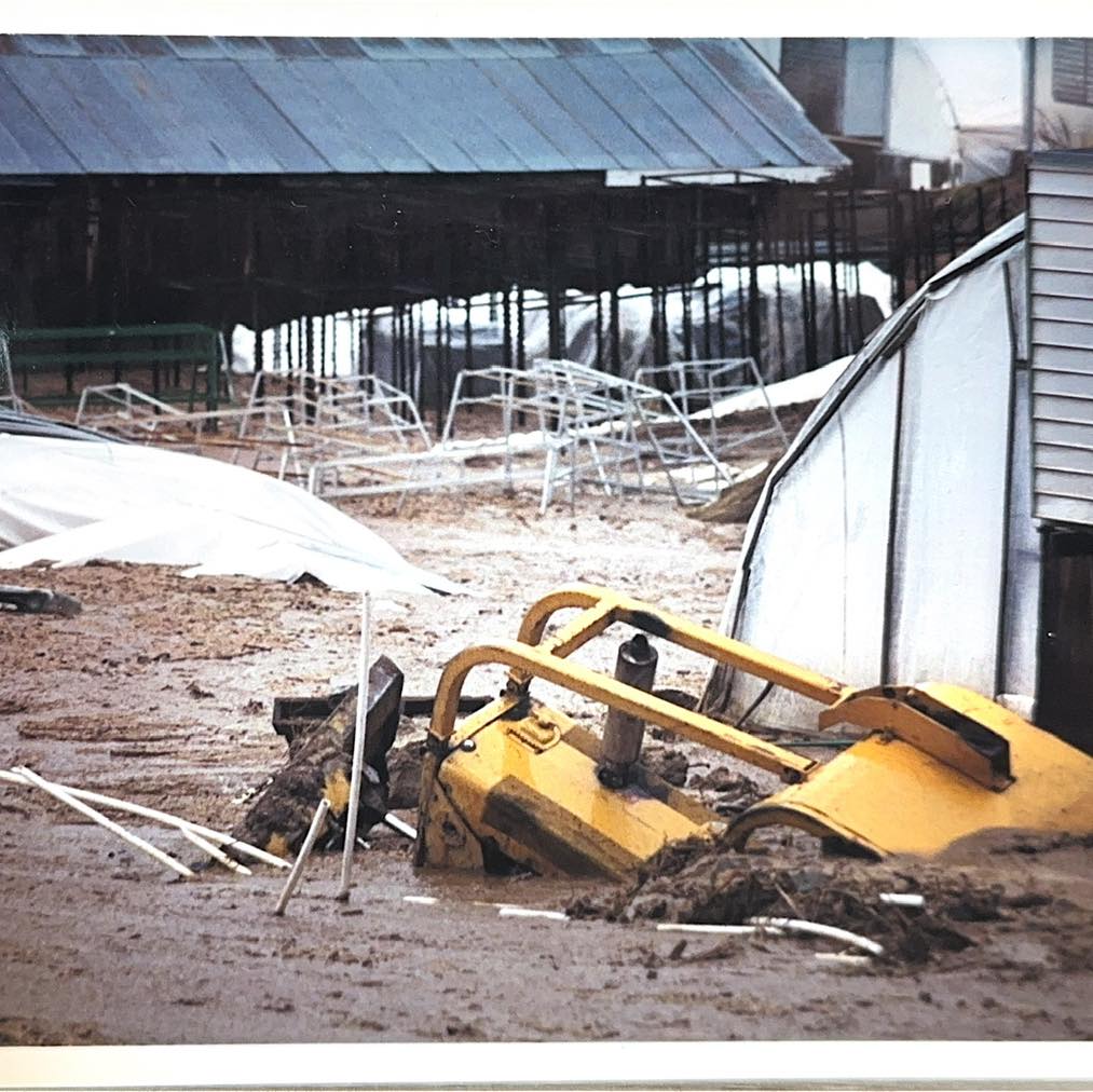 Throwback Thursday! This one’s a doozy! On the evening of New Year’s Eve in 1996, the power was out after nearly two straight weeks of rain. Riley recalls hearing branches snapping outside their house. When they stepped out to investigate, they noticed part of the mountainside had begun to slide.
The mudslide that followed caused significant damage and led to Ward’s closing for nearly a year while cleanup and rebuilding took place. Three greenhouses were lost, and deep mud flowed into many others. It filled a deep gully, buried a pump house, old cars, and a storage shed along the way. It reshaped parts of the landscape and changed the river’s flow. It was a strong reminder of how unpredictable and powerful Mother Nature can be. Circa 1996/1997