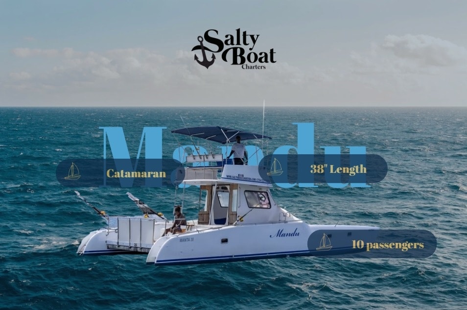 Our 38’ catamaran Mandu: Built for it all 🌊✨
Sightseeing, fishing, or just cruising, this one does it effortlessly.
With 30+ years of experience, we deliver safe, smooth, and fully customized trips tailored to you.
Holds up to 10 guests, with optional food & drinks to elevate the experience.
📲 DM us or click the link in our bio to book your charter
#SaltyBoatCharters #CatamaranLife #StLuciaTours #BoatDay #CaribbeanVibes #IslandExperience #OceanAdventures