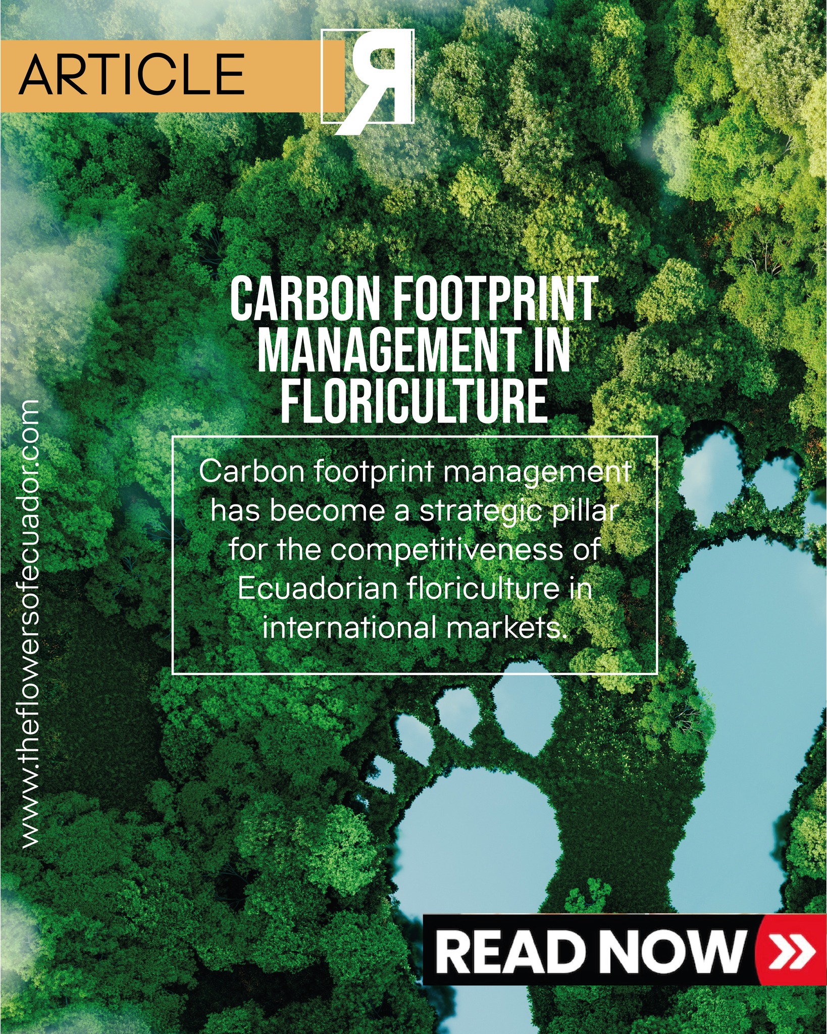 Carbon footprint is no longer optional. It’s strategic.
As global markets become more demanding, sustainability is no longer a trend—it is a requirement. In floriculture, understanding, measuring and managing carbon footprint is becoming a key factor for competitiveness, efficiency, and long-term positioning.
Today, international buyers are not only looking for quality… they are looking for responsibility.
In this article, we explore how carbon footprint management is reshaping the Ecuadorian floriculture industry, from data and methodology to the strategic decisions that will define the future of the sector.
👉 Read the full article here:
https://www.ecuadorysusflores.com/post/gesti%C3%B3n-de-la-huella-de-carbono-en-la-floricultura-datos-metodolog%C3%ADa-y-decisiones-estrat%C3%A9gicas