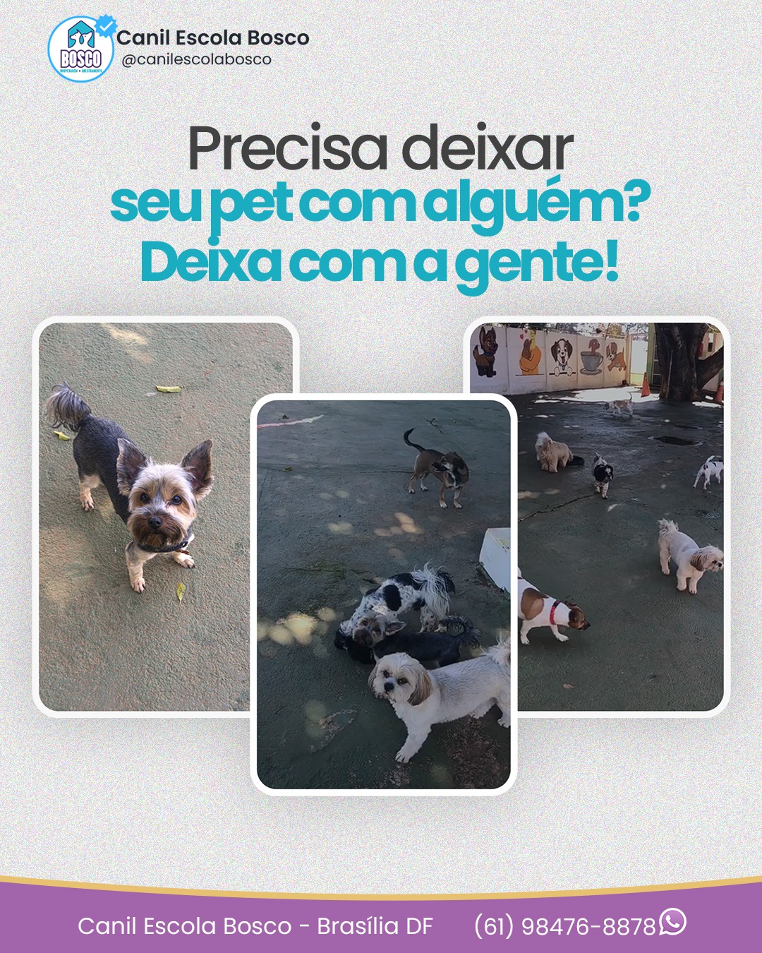 Uma coisa que todo cãozinho concorda é que a creche do HOTEL CANINO ESCOLA BOSCO É REALMENTE INCRÍVEL!😉😉
Aqui, nós cuidamos com amor!! ❤️🐕🐾
Agende sua visita e venha conhecer o melhor canil de Brasília.
Nossa estrutura vai te surpreender!!
☎ (61) 98476-8878
www.canilescolabosco.com.br
#canilescolabosco #canil #cãozinho #cachorro #dog #creche #crecheparacães #dogslove #crecheparacachorro #descanso #pet #petfriendly #petlovers