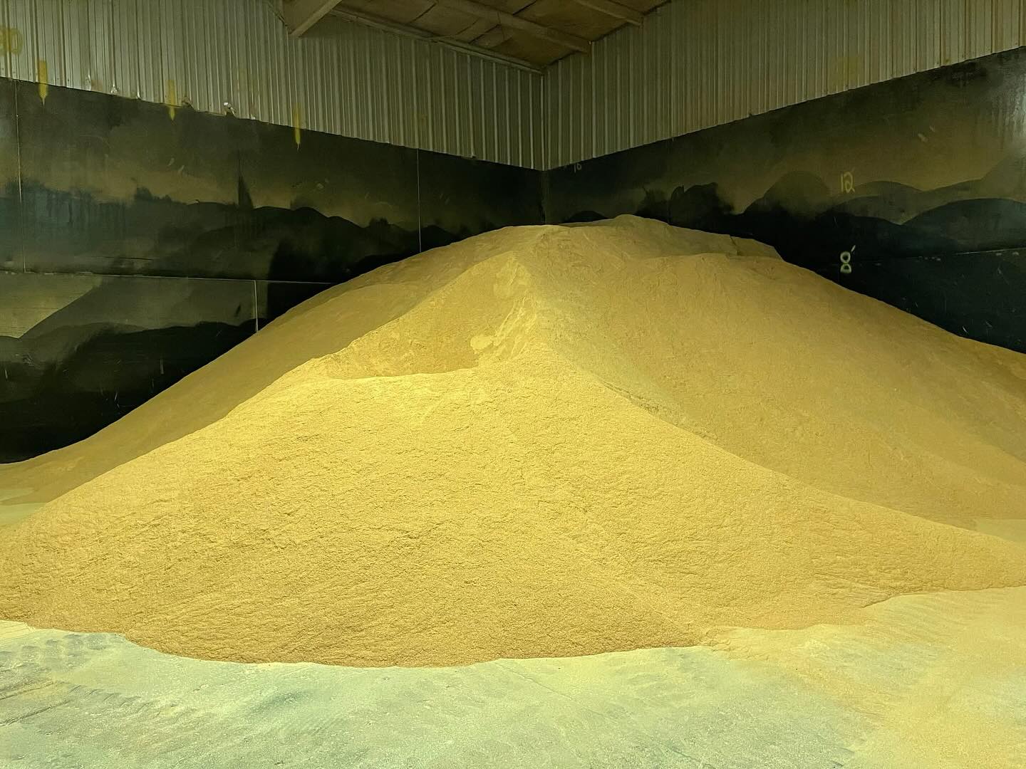 Did You Know? 💡🌽
Dried distillers grain is the number one source of protein in cattle feedlots and in many mixed rations — and for good reason. Not only does DDG provide highly concentrated energy and protein with almost zero starch, it’s also readily available thanks to the dry-grind fuel ethanol industry. On average, the U.S. ethanol industry produces nearly 90,000 tons of distillers grain each week. Some of this production is sold domestically, and a larger portion is exported as DDG.
Learn More: https://www.agribestfeeds.com/products/ddgs-pellets
#feedlot #cattleranch #beefcattle #cattlenutrition #agribestfeeds