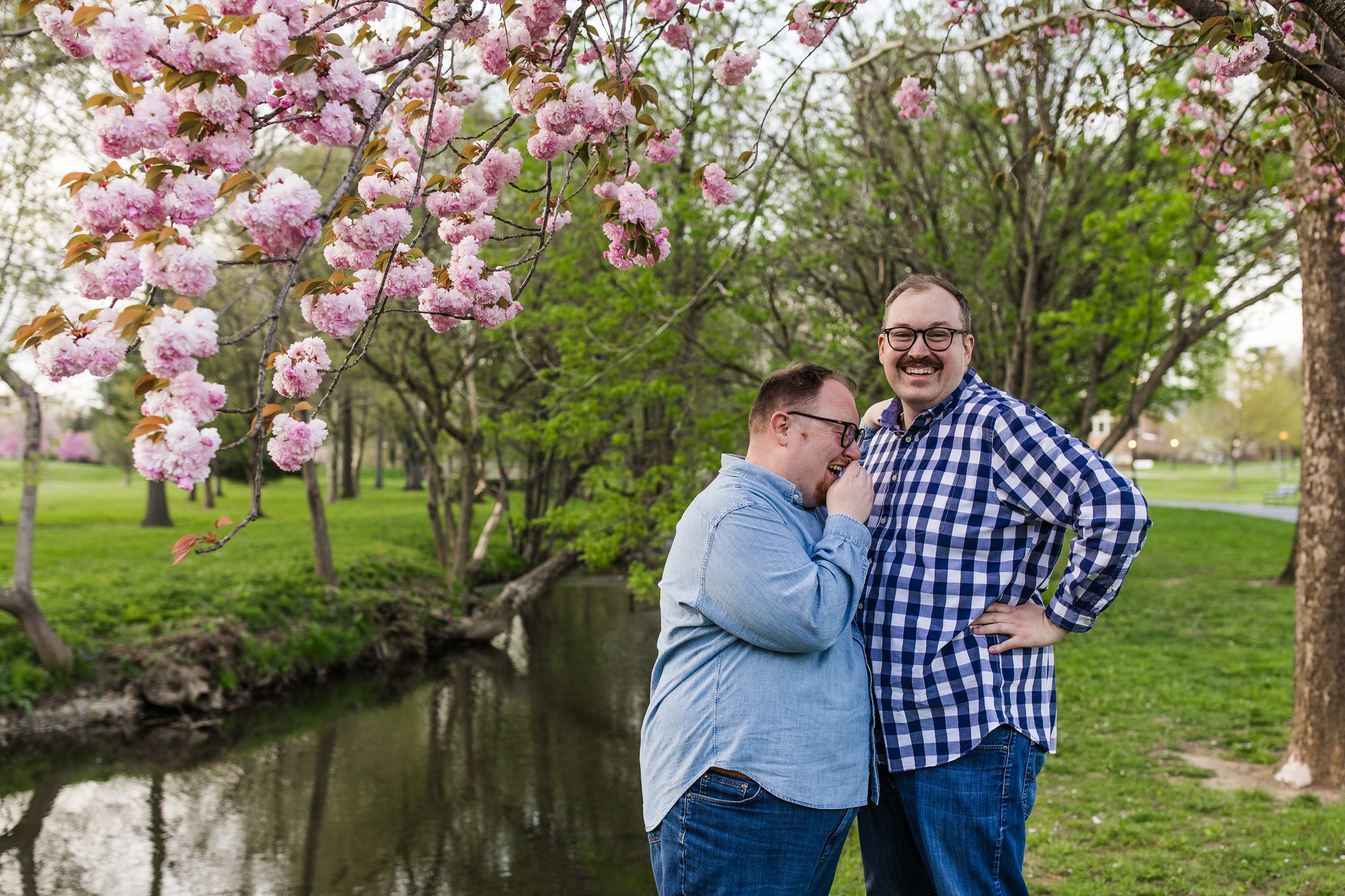 Cherry blossoms are doing their thing, but… they’ve got competition 🌸