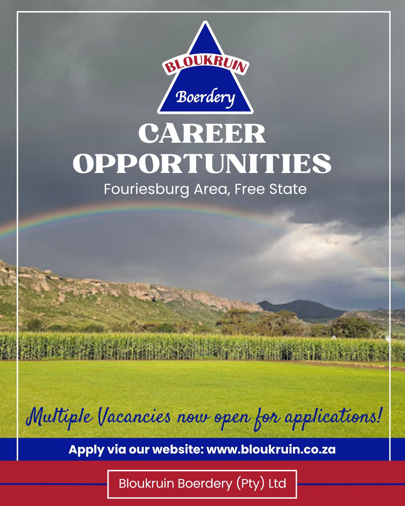 Introducing the new online home of Bloukruin Boerdery π bloukruin.co.za
With our new website comes new opportunities for those who want to join our team π
Multiple vacancies are now open for applications. From farming, to human resources, to the tourism industry.
Visit bloukruin.co.za/careers to find the career for you π πππ½π
#applynow #careers24 #FreeStateJobs