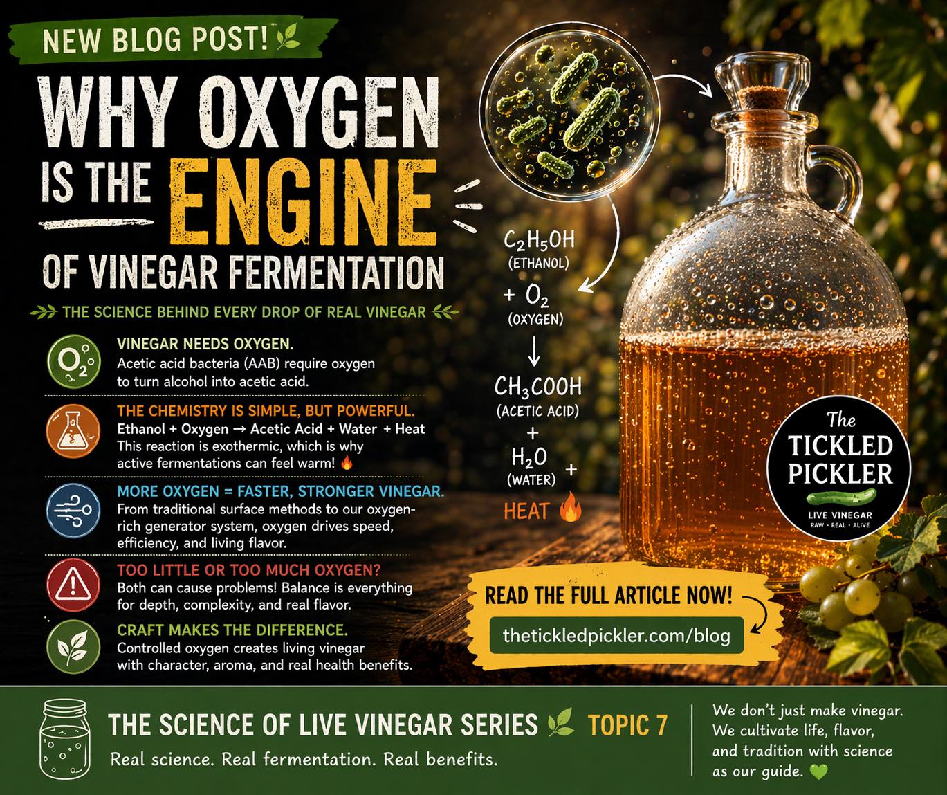 🌬️🧪 NEW BLOG DROP — The Secret Ingredient Behind Every Drop of Vinegar
Here’s something most people don’t know…
👉 Vinegar doesn’t just ferment —
it breathes.
Oxygen is the engine that turns alcohol into acetic acid and brings vinegar to life.
Too little? It stalls.
Too much? It falls flat.
Just right? ✨ That’s where the magic happens.
In our latest article, we break down:
✔️ why vinegar NEEDS oxygen
✔️ how fermentation actually works
✔️ what separates craft vinegar from industrial
If you love fermentation, food science, or just want to understand what makes vinegar really tick… this one’s for you.
📖 Read it here:
👉 https://www.thetickledpickler.com/post/topic-7-why-oxygen-is-the-engine-of-vinegar-fermentation-the-science-of-live-vinegar-series
Because great vinegar isn’t just made…
it’s engineered by nature. 🌿⚗️
#thetickledpickler #vinegarscience #fermentationeducation #livevinegar #foodscience #fermentationlove #artisanfood #picklescience #guthealth #smallbatch