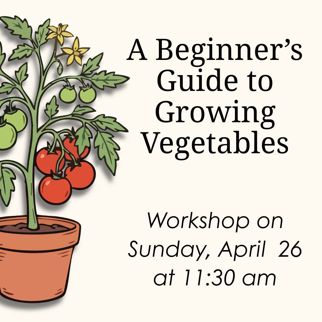 Help grow fresh food for our neighbors this summer! 🍅 ProjectFRESH is hosting a workshop this Sunday, April 26, at 11:30 am. Join us to learn how to grow vegetables at home and share your harvest with local food pantries.