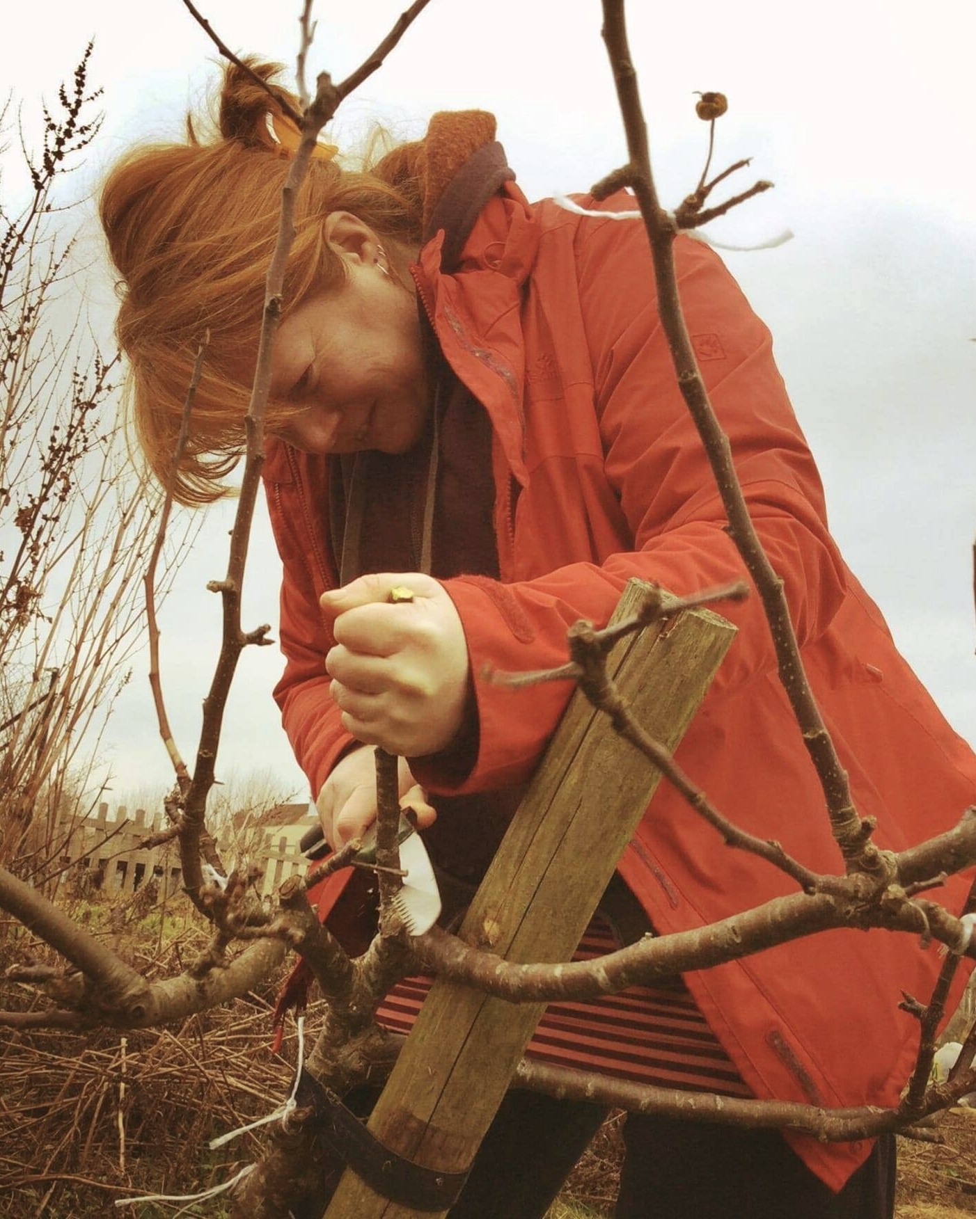 Meeting the Fruit & Nut Village Team!
Cath @gingercathleen Palgrave is our Stirchley Area Assistant. She has had many jobs, including campaigning, teaching, recycling at festivals, forest school leading, and scientific research. She found out about Fruit & Nut Village by cycling past one of the sites on her way to work, deciding then to swap teaching for urban orchards; she graduated in @theorchardproject’s Certificate in Community Orchards course, and is now engaged on their Orchard Consultant program.
As well as leading sessions for FNV, Cath works at @highburyorchard where she delivers children’s sessions. She is also a bicycle mechanic and shows people how to maintain their bikes, building confidence in cycling through her new business @cognationcic. As well as looking after trees, she very much enjoys the fruits of her labour, being a connoisseur of fine cider!