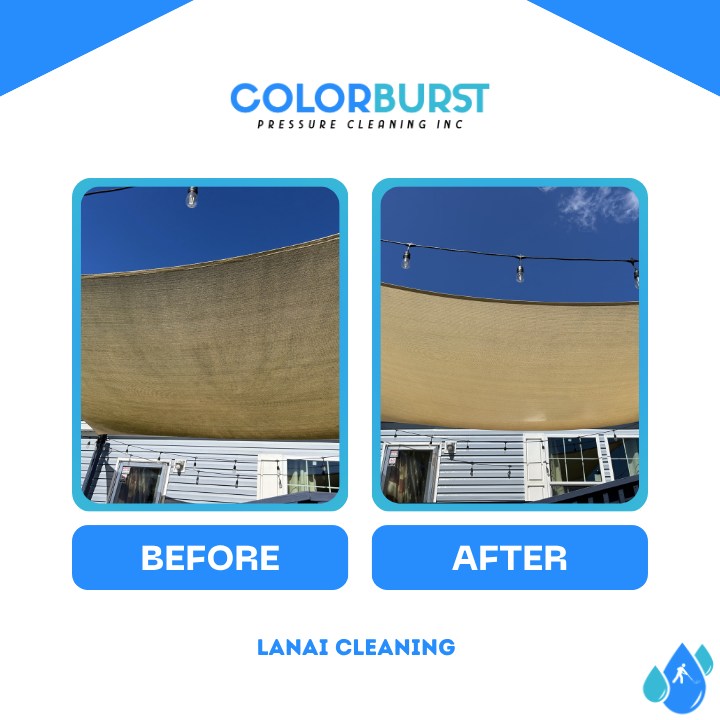 Mildew lingering around your property?
Reach out for professional solutions below to bring the color back to your home!
β
Affordable pricing and discounts are available!
Servicing π
- Clermont
- Orlando
- Sanford
- Mount Dora
- Apopka
- Tavares
- And surrounding areas
π±: (352)396-7464
π: https://www.colorburstpressurecleaning.com/
π©:colorburstpressurecleaning@gmail.com
#fyp #trending #pressurewashing #cleantok #satisfying