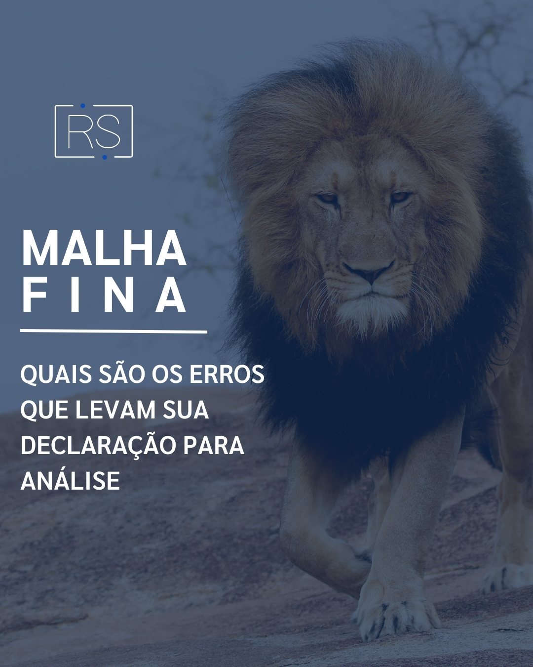A maioria das declarações que vão para a malha fina têm algo em comum: pequenas inconsistências que passam despercebidas no preenchimento.
Alguns erros são mais comuns do que parecem:
➡ Informar valores diferentes do Informe de Rendimentos
➡ Omitir rendimentos de dependentes
➡ Lançar despesas médicas sem comprovação
➡ Esquecer rendimentos de aplicações financeiras
Mesmo diferenças simples já podem gerar alerta, porque a Receita cruza os dados automaticamente.
Com o prazo do IRPF 2026 até 29 de maio, revisar as informações com atenção faz toda a diferença no resultado.
Nossa equipe acompanha cada etapa para garantir uma entrega com segurança técnica.
📍 Av. Paraná, 485 – Centro, BH
📞 (31) 2103-4141
🌐 www.realsistema.com.br
#realsistema #impostoderenda #malhafina #irpf2026 #contabilidade