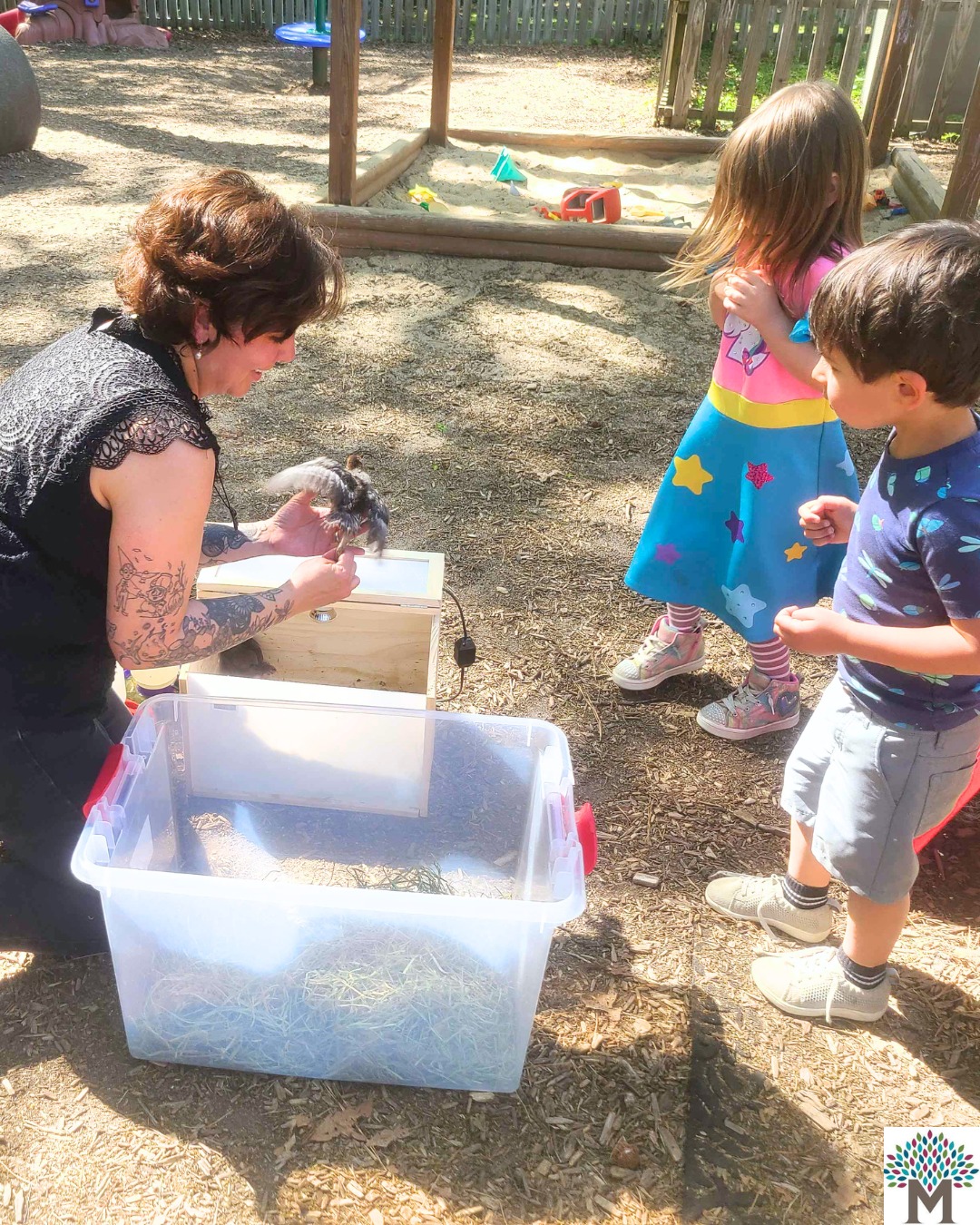 Our baby chicks have moved! Find them now in the primary classroom where students are learning about the life cycle of chickens.
#handsonlearning🙌 #animalsintheclassroom #rvachickens #montessori #rva #earlychildhoodeducation