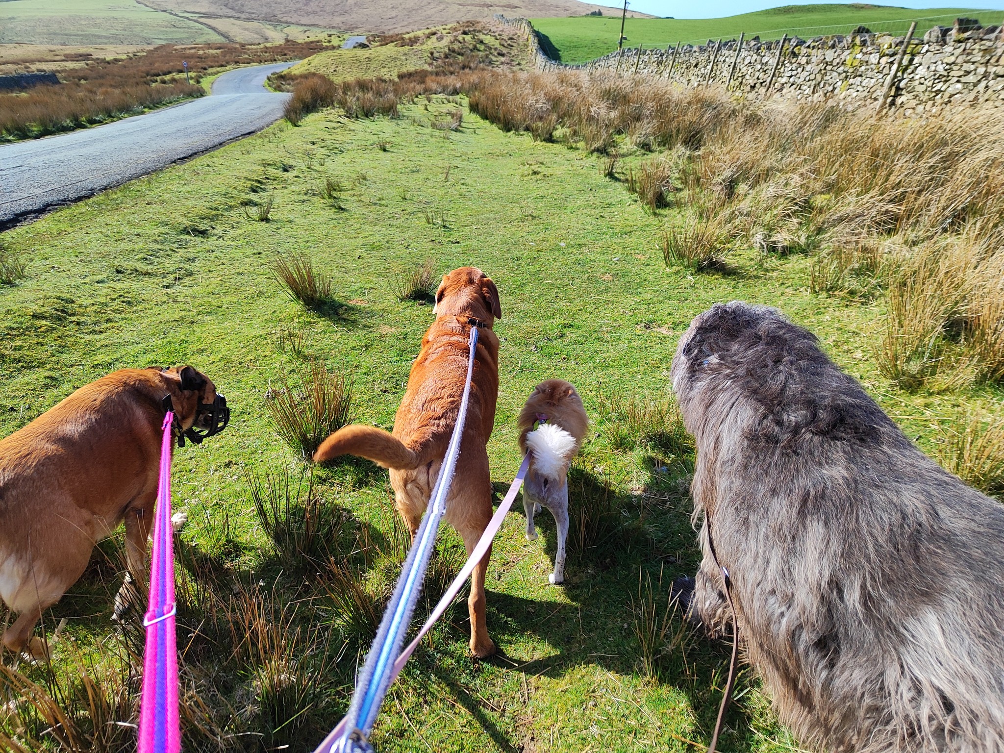 Daryl, Buddy, Loui and Kevin π₯°