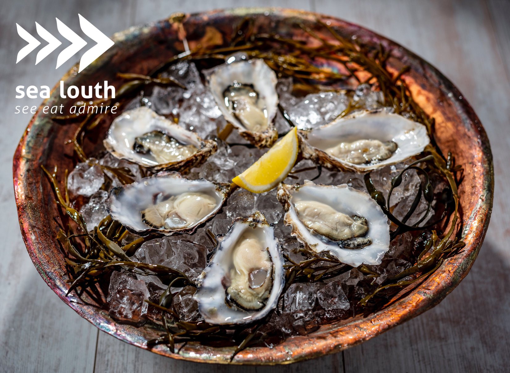 A true taste of the sea… @carlingfordoysters 🦪✨
Grown in the pristine, Grade-A waters of Carlingford Lough, these oysters are one of nature’s finest treasures. Their distinctive sweet flavour, plump texture, and beautiful tear-drop shape come from a unique mix of fresh mountain streams and salty sea water 🌊
Fed by natural plankton and local minerals, every oyster carries the pure essence of this incredible coastal landscape… as fresh and authentic as it gets 💙
Next time you’re exploring Sea Louth, this is one experience you won’t want to miss… just add a squeeze of lemon and enjoy 😉
https://www.sealouth.ie/carlingford-oyster
#SeaLouth #IrelandsAncientEast #KeepDiscovering #SeeEatAdmire #SeafoodLovers