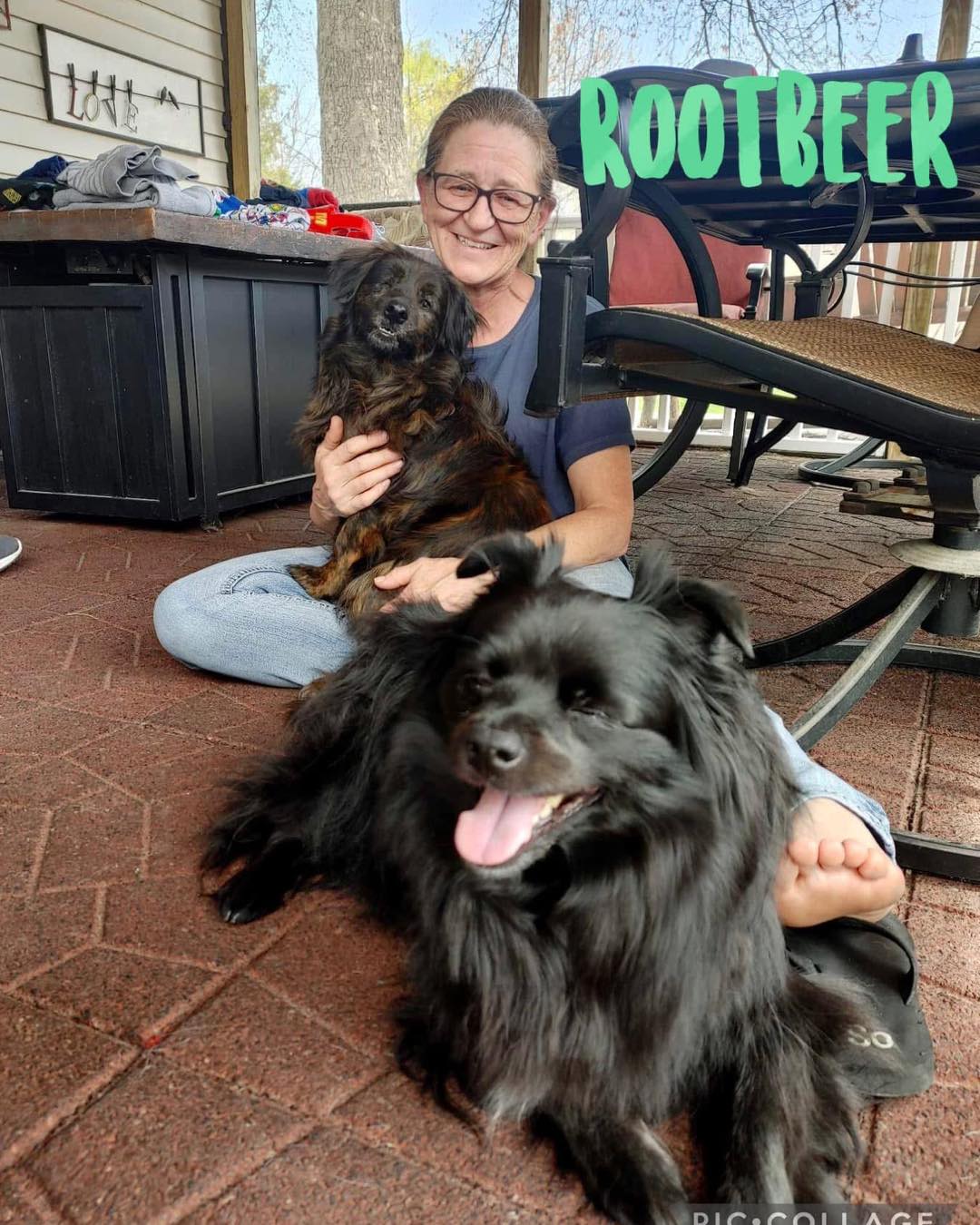 🎉 Happy 3rd Gotcha Day, Rudy! 🎉
Yesterday, our very own Midwest Director, Pam, celebrated Rudy’s 3rd Gotcha Day with a well-deserved pup cup. 🐾🍦
Rudy (formerly named Rootbeer) came from a heartbreaking hoarding situation involving both cats and dogs. He was born without one eye, and the other is deformed—leaving him with almost no vision. When he first arrived, he had a scar on his nose, was very thin, and guarded his food anxiously. We believe he may have been bullied away from meals in his previous environment.
But then Pam stepped in. ❤️
Rudy was adopted by Pam and has been living on easy street ever since. No more fear. No more fighting for food. Just love, safety, and pup cups on his Gotcha Day.
Happy Gotcha Day, sweet Rudy. You made it. 🐶✨