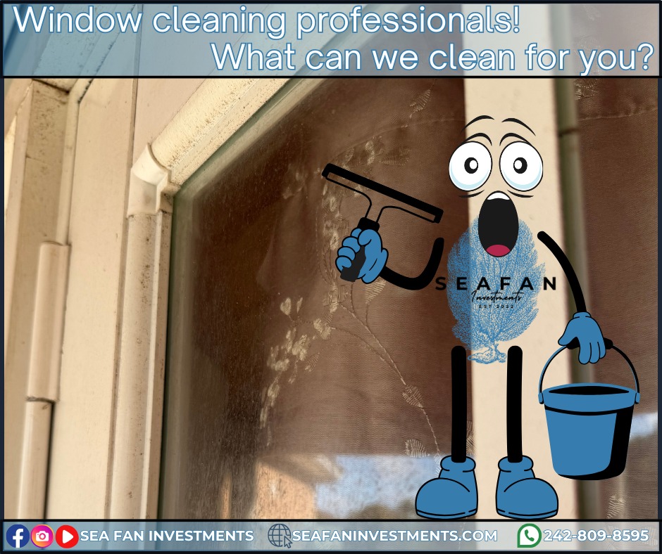 Don't leave your windows looking dirty, Sea Fan Investments can restore your view quickly with the industry's best equipment.
Want to learn more? Check out our blog on house washing:
https://www.seafaninvestments.com/post/what-is-a-house-wash
We don't just pressure clean! We are your soft washing professionals and provide complete exterior cleaning solutions! Concrete cleaning, house washing, roof cleaning, driveways, windows, decks, docks, pool surrounds, patios, surface sealing, paver restoration, and much more.
We have cleaned homes of all sizes, multi family properties, businesses, school campuses, churches, gas stations, apartment complexes, and manufacturing facilities. Big or small, we've cleaned it all. What can we clean for you?
We are always looking for ways to help you manage and maintain your investment.
We service Freeport, Grand Bahama π§πΈπ§πΈπ§πΈ and cater to all your property management needs.
Visit our website https://www.seafaninvestments.com/
Check us out on Google https://maps.app.goo.gl/FtLupz7nk7yhbf917
Follow us on Facebook https://www.facebook.com/SeaFanInvestments
Follow us on Instagram https://www.instagram.com/seafaninvestments/
Watch and subscribe to us on YouTube
https://www.youtube.com/channel/UCNAsDyoYIpteVf6pDe5iCQw
#pressurewashing #softwashing #roofcleaning #housewash #deckcleaning #DockCleaning #seafaninvestments #guttercleaning #drivewaycleaning #concretecleaning #soffitcleaning #sealing #stuccocleaning #poolsurroundcleaning #brickcleaning #stonecleaning #commercialroofcleaning #paversealing #dumpstercleaning #woodcleaning #oilremoval #oxidizationremoval #rusttreatment #graffitiremoval #windowcleaning #commercialcleaning #parkinglotcleaning #patiocleaning #pressurewashinggrandbahama #pressurecleaningfreeportbahama