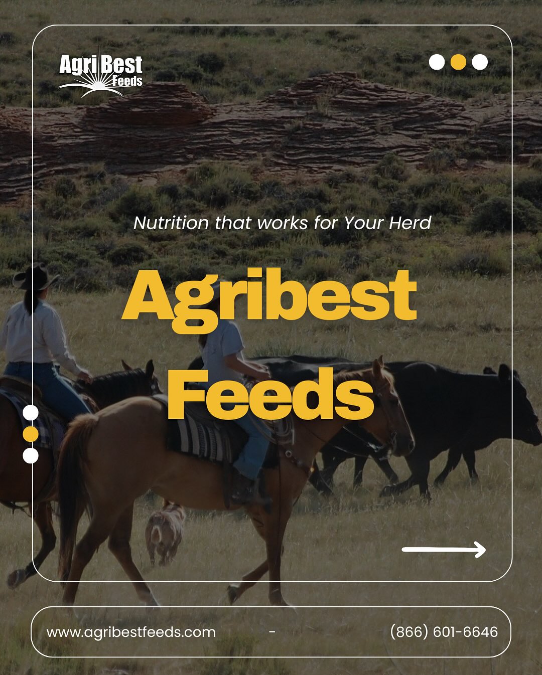 Enhancing the lives we touch through uniquely better agricultural products and superior customer service ✨
www.agribestfeeds.com
#agribest #livestock #ranching #farmandranch #cattleranch