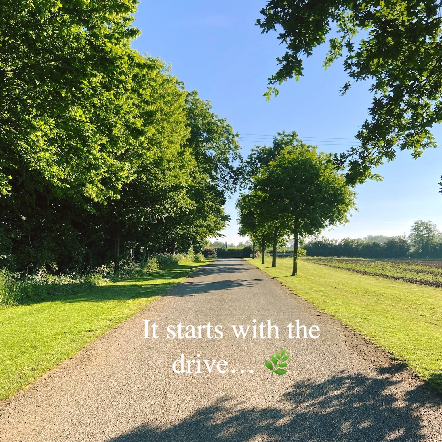 It starts with the drive… 🌿
A quiet, tree-lined approach. Open countryside stretching out beside you. And that feeling that something special is just ahead.
Tucked away in the Oxfordshire countryside, Stratton Audley Barn offers more than just a venue—it’s an escape from the everyday.
Perfect for the special event that deserves a setting to match. #events #countrysidevenue #familycelebration
📩 Get in touch to plan your day