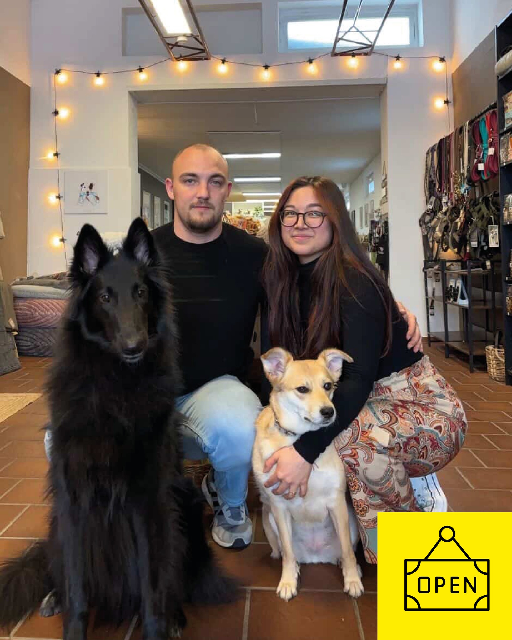 THE DOG HOUSE DÜREN 🐾
-
Ein Ort für alle, bei denen sich (fast) alles um den Hund dreht: The Dog House ist im Februar am Kaiserplatz 16 gestartet. Hier gibt’s nicht einfach nur Futter & Zubehör, sondern eine ziemlich liebevoll zusammengestellte Auswahl:
Leckerli-Bar zum Stöbern, hochwertiges Futter & BARF, Spielzeug und schöne Dinge für den Alltag mit Hund. Und ja, auch die Menschen gehen nicht leer aus 😉
Außerdem soll’s mehr als nur ein Laden sein: Geplant sind Events und Treffen, die das Ganze zu einem kleinen Community-Spot für Hundemenschen machen 🐶✨
Schon entdeckt? 👀
@thedoghousedueren