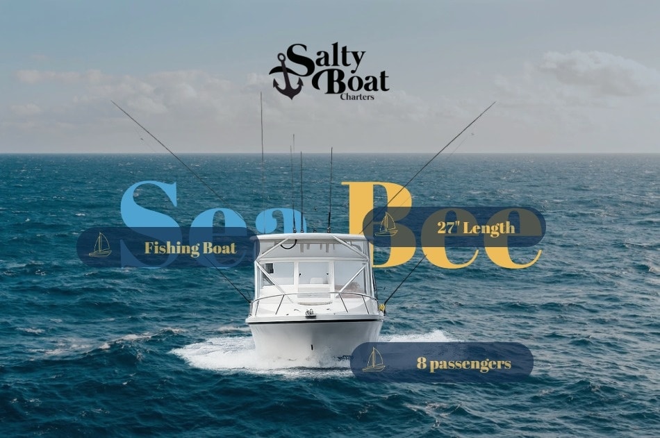 Sea Bee 🐝: built for real fishing days 🎣🌊
From trolling to bottom fishing, we give you the full experience and put our knowledge of these waters to work for you.
With 30+ years of experience, quality Penn and Shimano gear, and a spacious, comfortable setup, you’re in good hands.
Up to 8 guests, fully equipped for a safe and enjoyable trip.
📲 DM us or click the link in our bio to book today!
#SaltyBoatCharters #SeaBee #StLuciaFishing #BoatDay #CaribbeanFishing #IslandExperience