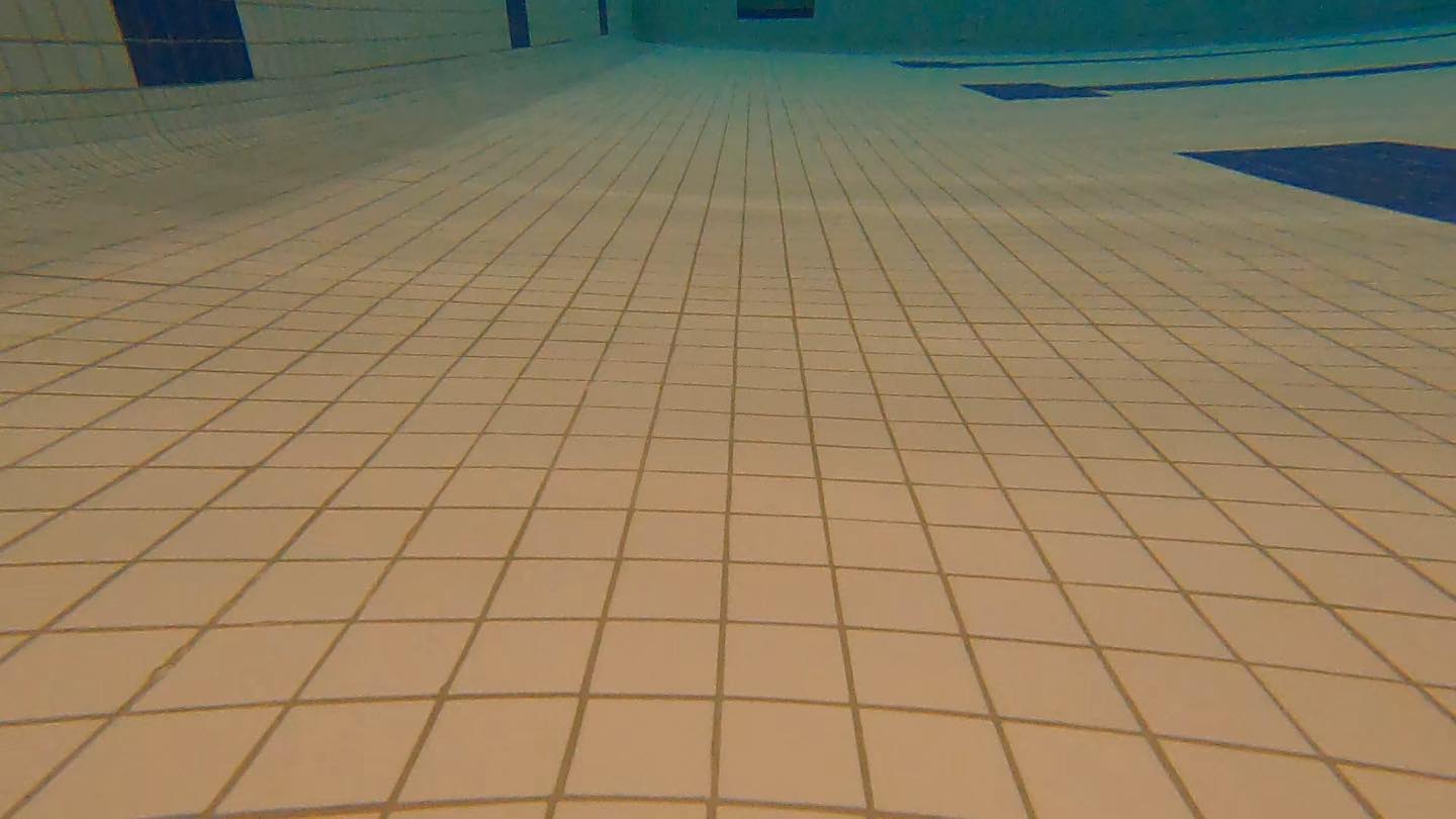 Today I had a different kind of job. I was diving at a high school pool to help with some missing pool tiles. I was filling the hole where one tile popped off with marine epoxy, and covering up the sharp edges on another area. I also found an earring while I was there, hopefully it makes its way back to its owner. What a fun change to dive in a clear, heated pool!
.
.
#recoverydiving #lakestclair #greatlakesstate #detroitriver #stclairshores #clintonriver #harrisontownship #boattown #algonac #stclair #metrobeach #michiganboating #puremichigan #michiganmarinas #metaldetector #safeharbormarinas #boatmichigan #lambrecht