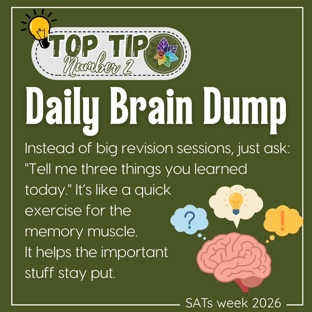 #satstipsforparents #toptips #dailybraindump #pastonridings