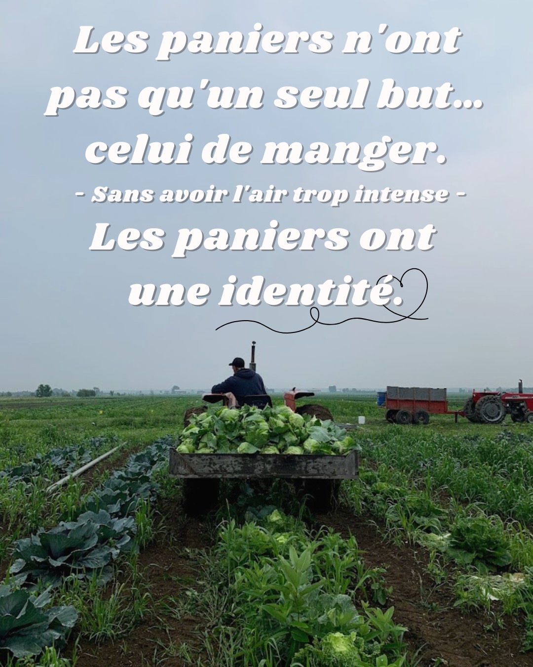 Les paniers n'ont pas qu'un seul but… celui de manger.
Sans avoir l'air trop intense (même si ça l’est haha), les paniers ont une identité.
Ils nous servent à nous rappeler qu’il n’existe pas seulement l’épicerie, mais qu’il y a encore des fermiers dévoués à nourrir leur communauté.
Ils servent à découvrir, à sortir du cadre des patates, poivrons et brocolis qu’on achète trop souvent.
Ils servent à nous ébranler par leur goût, comme la carotte qui explose en bouche ou l’ail si juteux, fraîchement sorti de terre.
Ils servent aussi à ralentir un peu. À prendre le temps de cuisiner, d’essayer, de parfois se tromper… puis de recommencer.
Ils servent à créer des habitudes. Celles qui restent longtemps après la saison. Comme ouvrir le frigo et se demander : “Qu’est-ce qu’on mange avec ce qu’on a?”, au lieu de “Qu’est-ce qu’on va acheter?”
Les paniers, c’est un lien. Entre vous et nous. Entre votre cuisine et nos champs.
C’est une façon douce de reprendre un peu de contrôle sur ce qu’on mange… sans pression, sans règles strictes. Juste en se laissant guider par ce qui pousse ici, chez nous.
Nous rappeler que manger, ça peut être simple, vivant… et profondément humain.