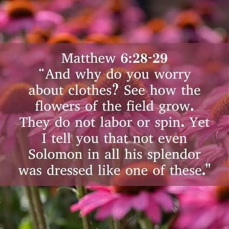 Our verse for today 🙏