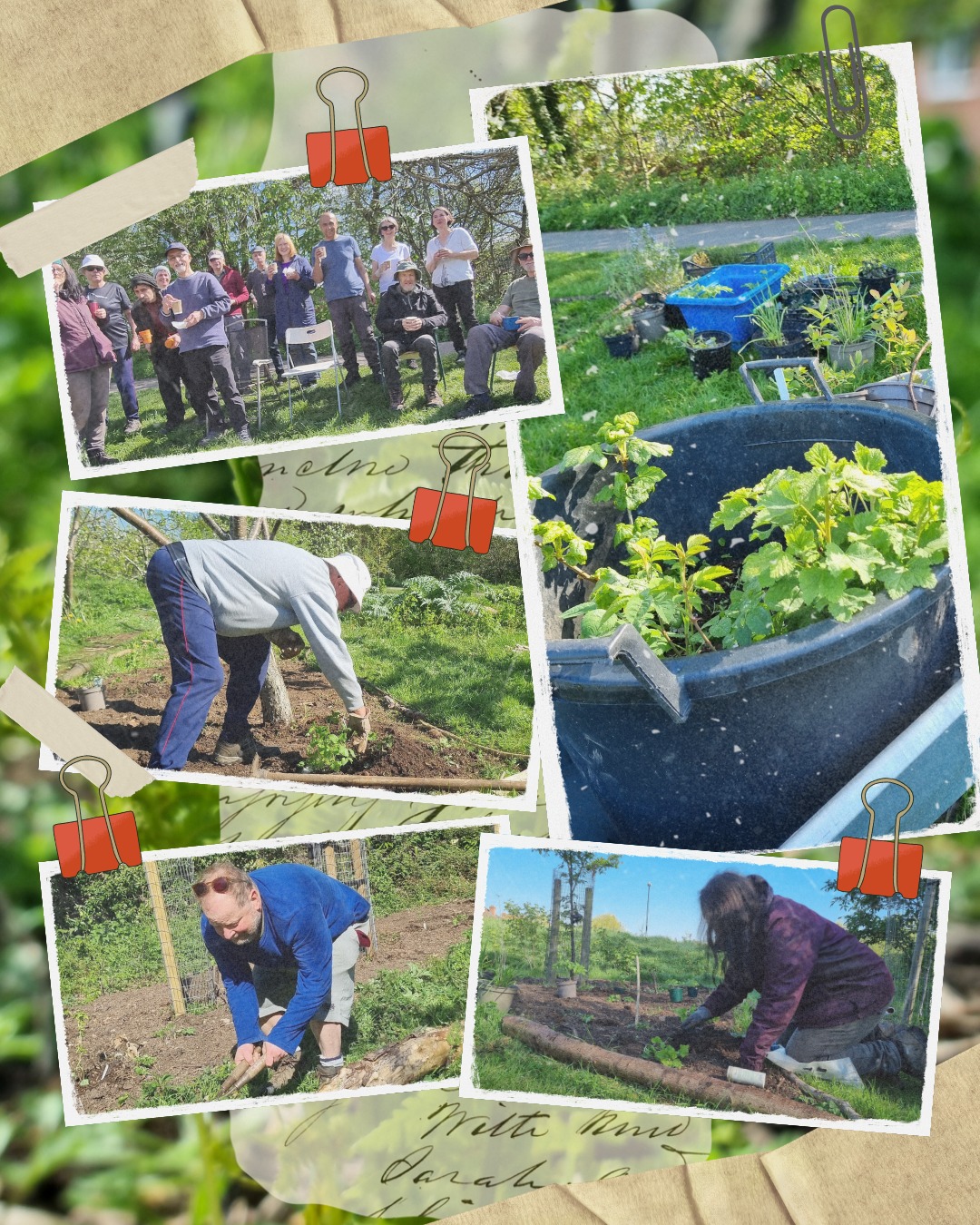 #ForestGarden planting workshop on Monday morning for a special #StartTheWeek session, at #KingdomForestGarden in #Stirchley.
It felt like the Summer had arrived already with the beautiful weather we had. Lots of newly planted #EdiblePerennials in the garden for the community to enjoy. Join us next week for weeding, watering and path maintenance!
@tnlcommunityfund @westonfdn