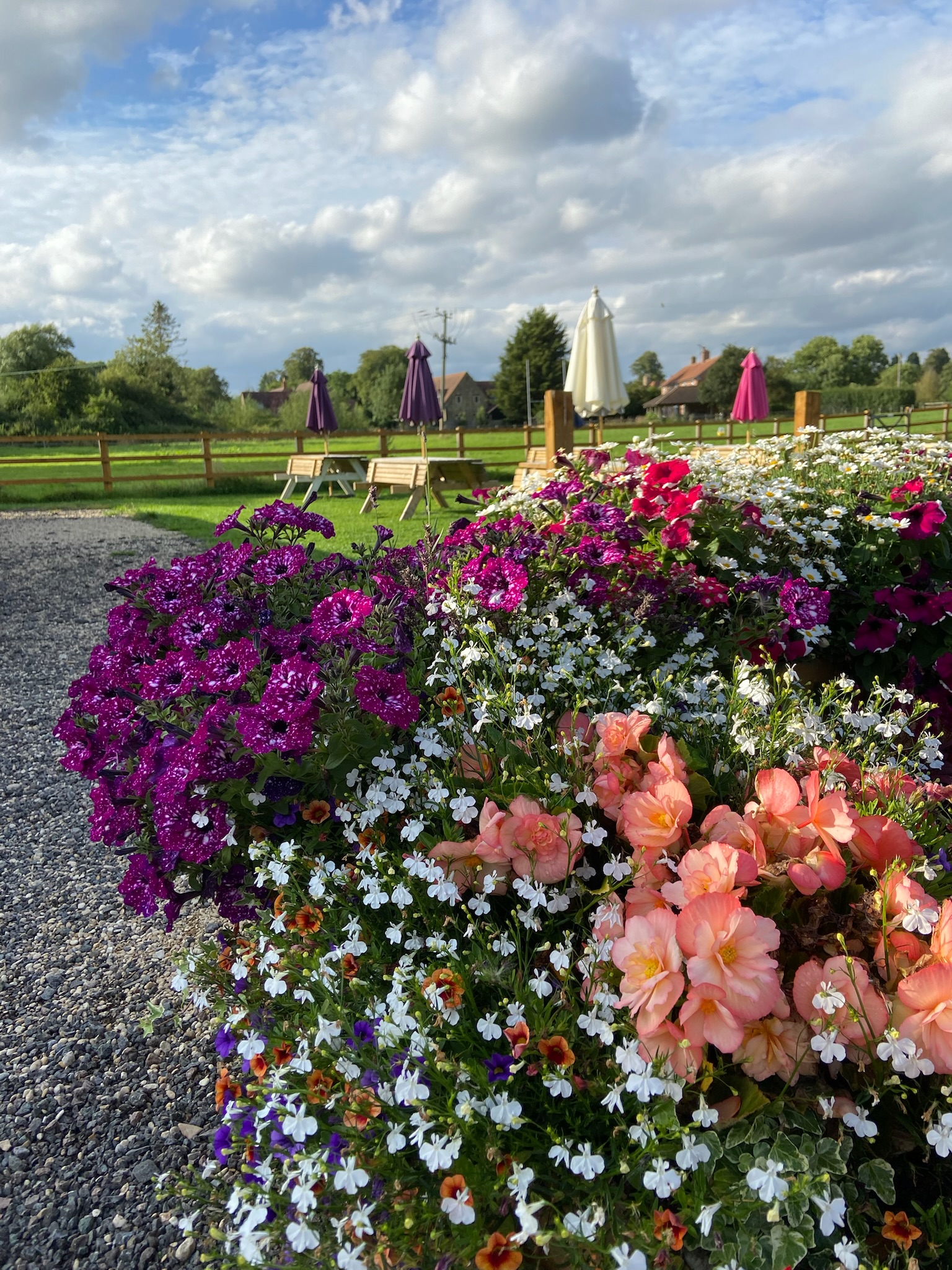 May Day magic 🌸
The countryside in full bloom, fresh air, and space to celebrate with the people who matter most.
Thinking about a summer event? Now’s the perfect time to start planning 🌿
#MayDay #SpringCelebration #CountrysideEvents #OxfordshireVenue #SpringVibes #OutdoorCelebration #BarnVenueUK #MayDayUK
