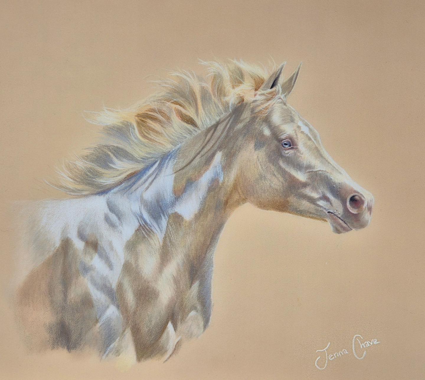 How cool is this???? One of our followers, Jenna Chave painted a gorgeous portrait of our very own Maple aka SHR BlondesHaveMorFun!! Well done Jenna! It is beautiful!!!!!