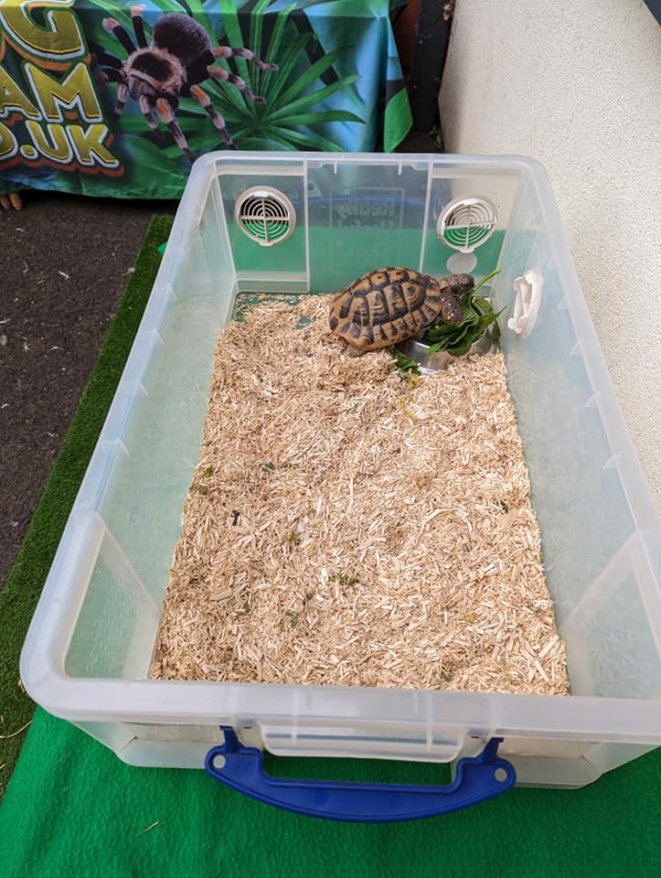 We will have some special visitors at our Spring Community Event THIS Friday! Here is a sneak preview of some of the animals who will be visiting us, which one are you most excited to meet 👀
Our Spring Event takes place THIS FRIDAY 1pm-3pm @ Almond Housing/Community Garden (44 Etive Walk, Livingston, EH54 5AB) EVERYONE IS WELCOME!! 🤗
Join us for a fun filled afternoon with a range of different activities & have your say! Come along, share your ideas, find out what's planned and help guide what comes next 💬
Spark Almond Housing Association West Lothian Yap