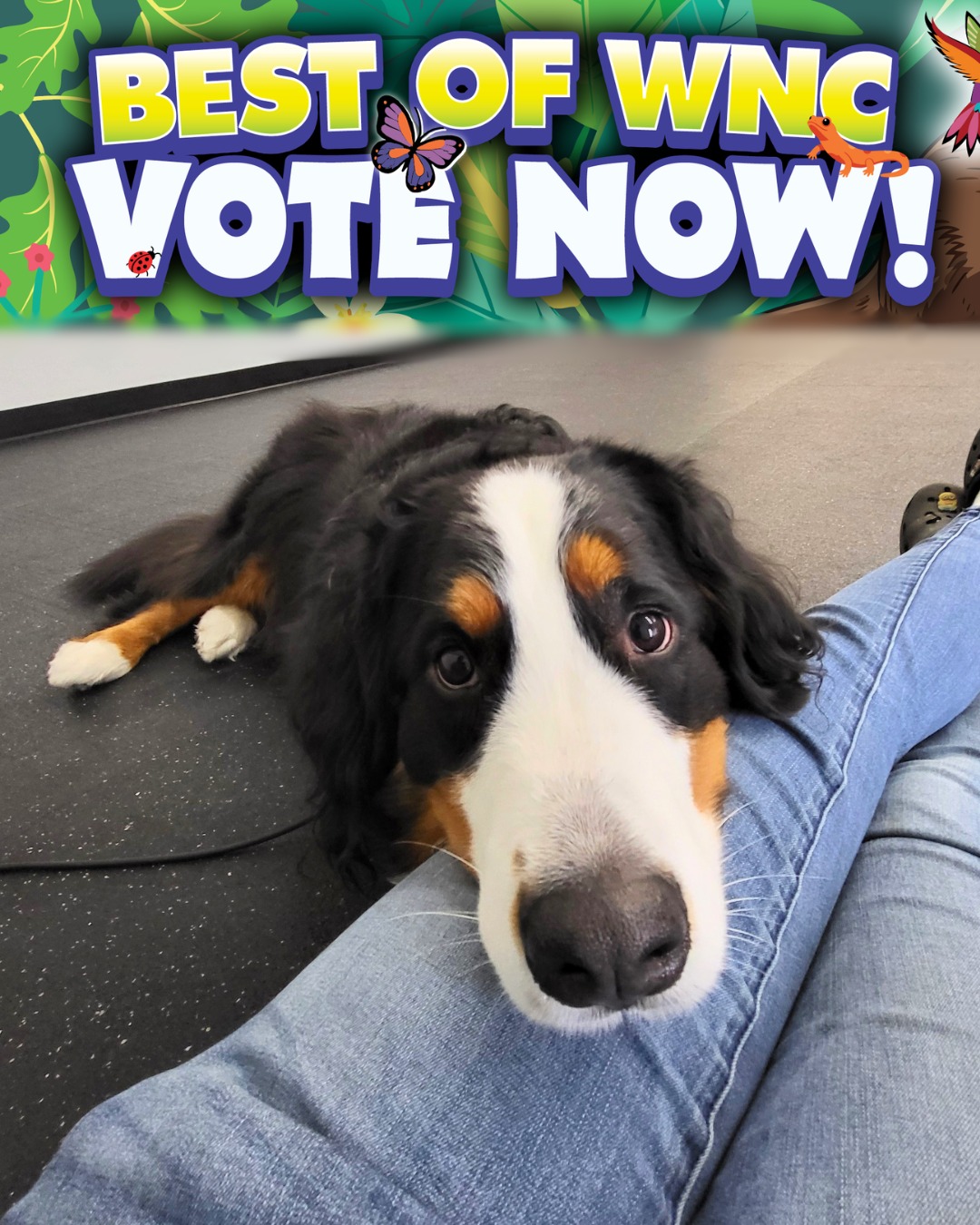 Do you and your pup have eyes for Ruff Life? It's time to vote in Best of WNC! We'd love your help to keep our four-year winning streak alive, and we hope we've earned your vote again in 2026!
Please navigate to our LinkTree for the link to vote! We're so grateful for the support of our Ruff Life pack ๐ค๐พ๐
#BestOfWNC #WNCLife #AshevilleLife #AshevilleSmallBusiness #AshevilleNC