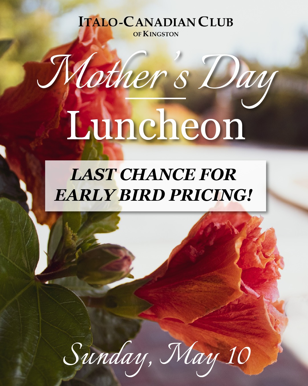 ⏰ Last chance for Early Bird pricing on our Mother's Day Luncheon! Treat Mom to a beautiful afternoon of great food, family, and celebration—while saving a little, too 😉
Grab your tickets at the early bird rate of $50 before Thursday, April 30. (Price goes up to $55 in May.)
🎟️ Secure your tickets before the deadline:
👉 https://www.icckingston.com/event-details/mothers-day-luncheon
📞 613-542-9323
#YGKDeals #MothersDayKingston #KingstonEvents #PlanAhead #SupportLocalYGK