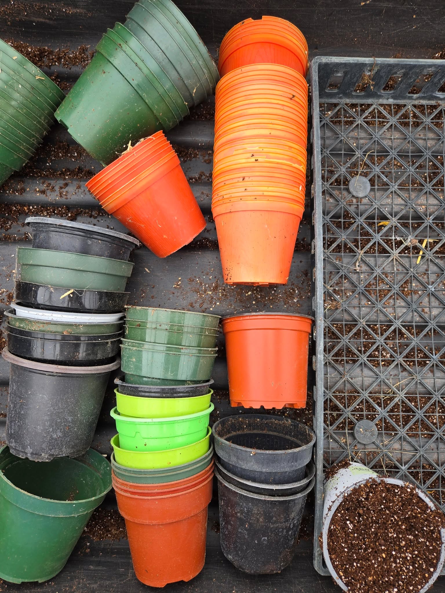 Notre 2e mission : RECYCLER! ♻️
Tu as chez toi : des pots à jardin, des cabarets de transport (pour pots à jardin), des casseaux de champignons, des élastiques, des outils de jardinage, des bacs solides qu'on pourrait utiliser pour la récolte...tu penses à des choses qui seraient intéressantes à la ferme. ÉCRIS-NOUS avant d'apporter ton bac à recycage héhé!
MERCIIIII
PS: On a besoin de bénévoles pour samedi 25 avril (on paille les fraises), donc si ça t'intéresse, écris-nous!🙋♀️🙋🙋♂️