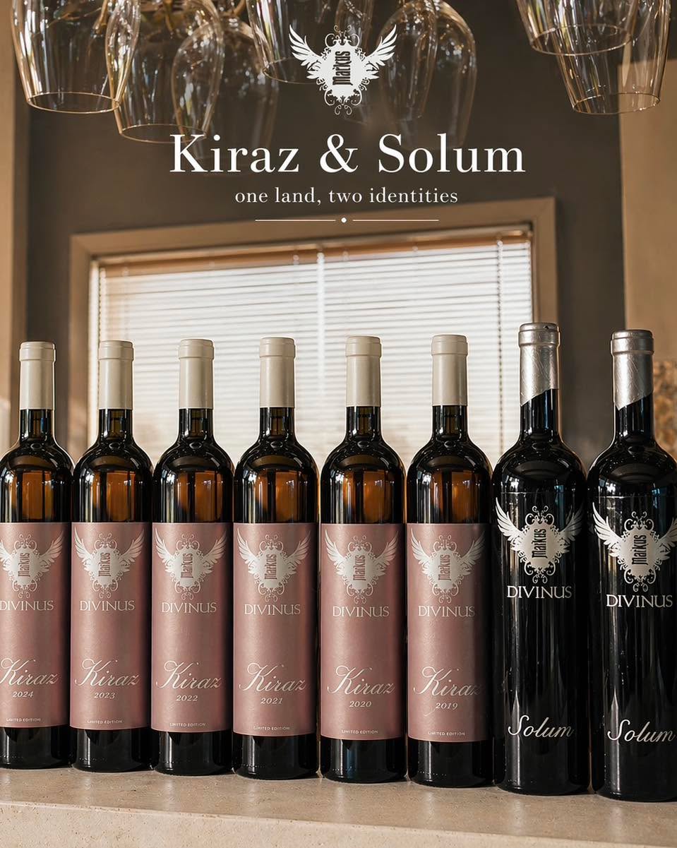 One parcel. One grape. The only thing we change — is the day we pick.
Kiraz comes first. Earlier harvest while the grapes are still bright and holding back. A rosé — crisp like morning air and light. The kind of wine that wakes something up.
Solum waits. A few weeks more of sun and time to become something deeper. A red — dark fruit, slow warmth, a finish that lingers long after the glass is empty.
Two completely different characters with one grape.
So — which one are you?
Find information about the wines on our website.