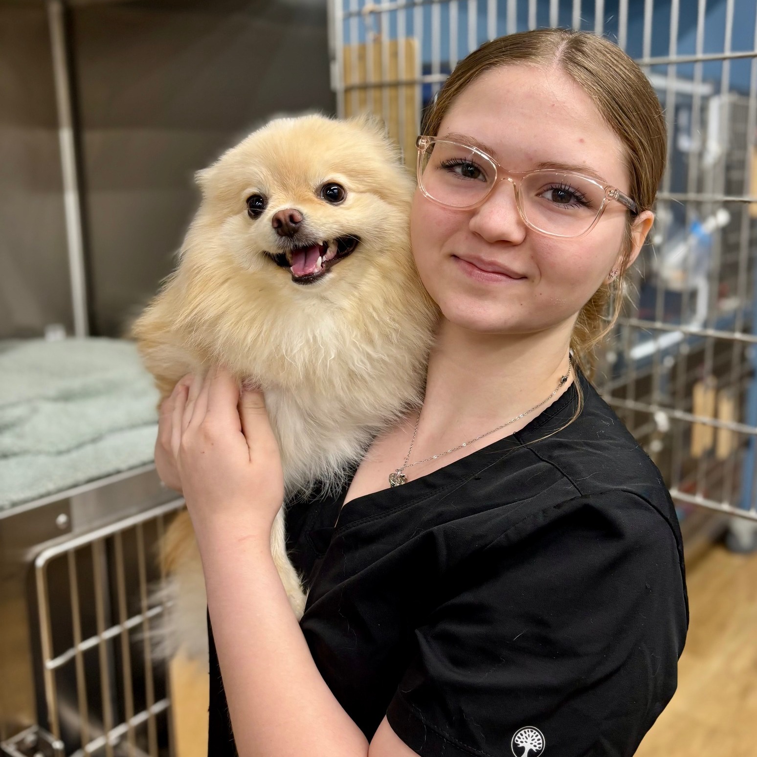 The celebration continues - today is Kenzies' birthday! 🎉🐾🩵