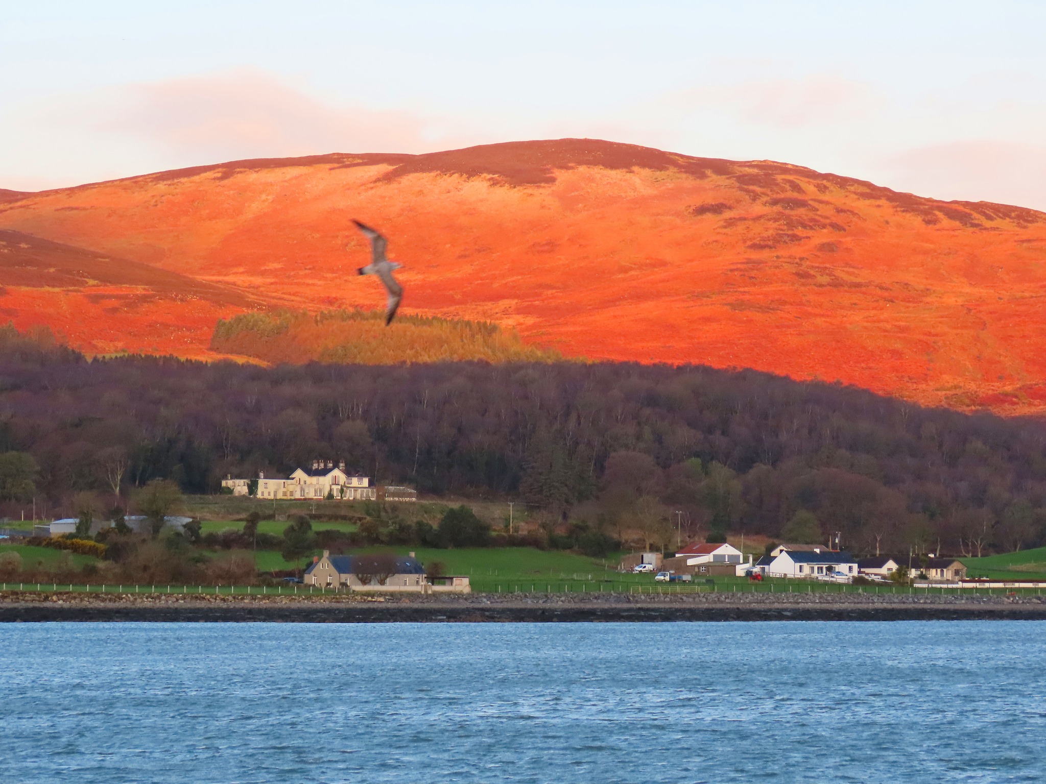 The Cooley Mountains above Omeath… where light, landscape, and sea air come together in the most magical way ✨⛰️🌊
Golden tones stretching across the hills, the calm waters below, and that fresh salty breeze… it’s the kind of place that invites you to slow down and simply soak it all in 💭
Whether it’s a quiet morning walk along the greenway or a full weekend escape, this is nature at its finest… and the perfect reset from the everyday 🌿
Credit Martin G McCaul
#SeaLouth #IrelandsAncientEast #KeepDiscovering #SeeEatAdmire #CooleyMountains #Omeath