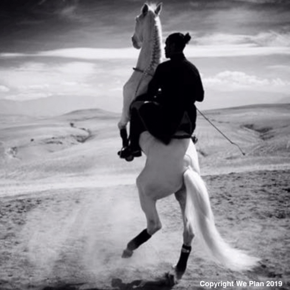 Throughout the year, Morocco Travel Group/We Plan curates and creates the finest experiences in Morocco, granting guests access to the most exclusive events and venues. To create lasting memories, they showcase the best their country has to offer, combined with their creativity and unmatched level of service. Here is one of those experiences:
Horseback riding Experience! Guests enjoy a beautiful day outside the city, in the palm grove or at Lalla Takerkoust lake, with a professional team and amazing horses. They also offer career initiation with quality education and courses at all levels, from G1 to G7, including competition training and preparation for French and Moroccan federal exams. Experience multi-day treks to explore the medium and high Atlas. Atmospheric Moroccan lanterns create the impression of being on an expedition from another time. VIP horse truck and professional equipment available on demand. This experiences has a duration of 1 hour, 1/2 day, or full day.
Ask us for details on this and other experiences info@dominiquedebay.com or phone us at 1-212-752-1416 #DominiqueDebayCollection @weplan.ma #atlasmountains #desert