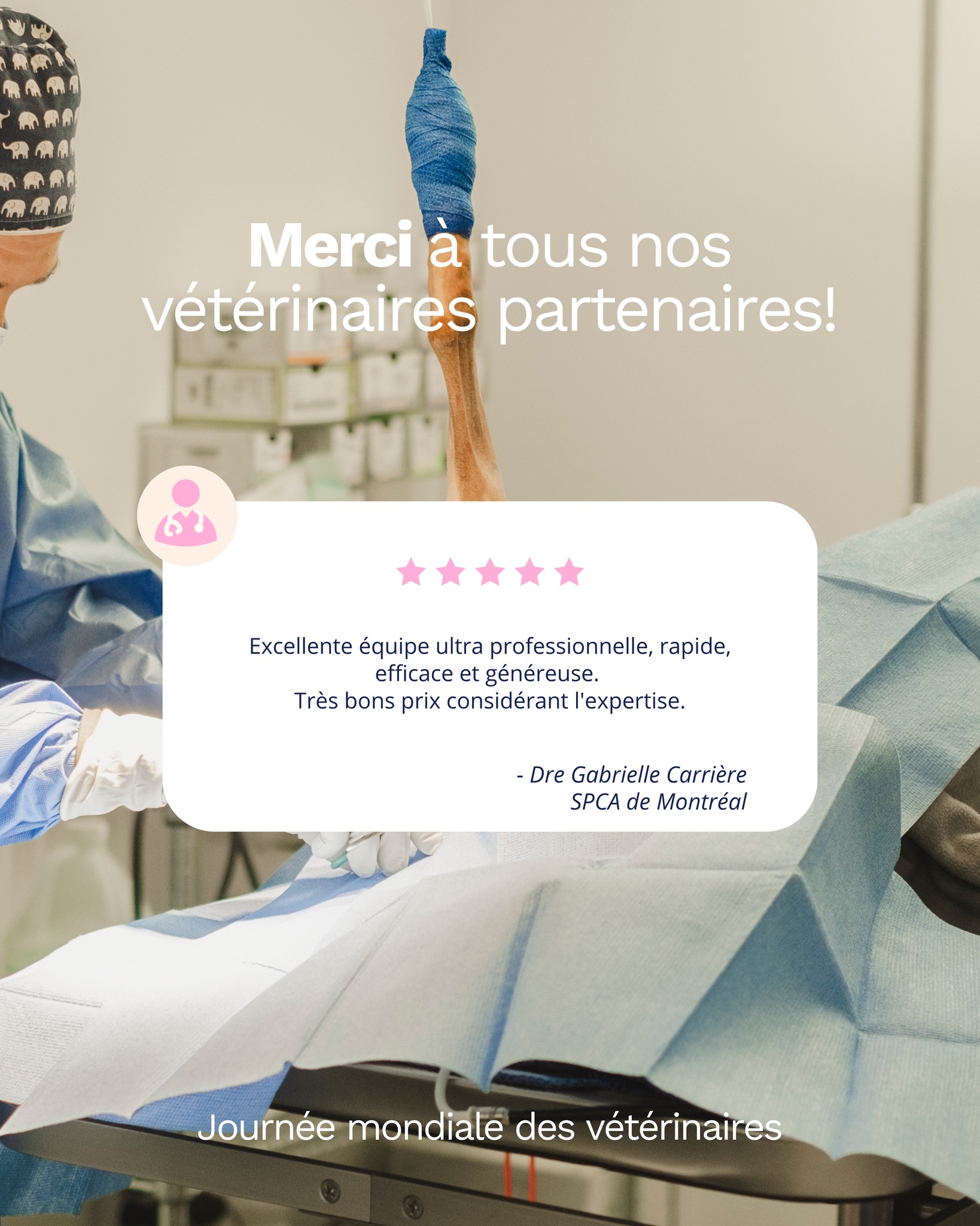 C'est la Journée mondiale des vétérinaires! Quelle belle profession. 🩺
Merci à tous nos vétérinaires partenaires de nous faire confiance pour les soins spécialisés de vos patients. Nous sommes chanceux de pouvoir collaborer avec autant d'établissements qui ont aussi à coeur de rendre la spécialité vétérinaire accessible aux animaux du Québec.
Vous êtes vétérinaire et ne faites pas encore partie de nos partenaires? Contactez-nous dès maintenant afin d'offrir nos services à votre clientèle!
📞 (514) 479-1101
✉️ contact@coupez.ca
