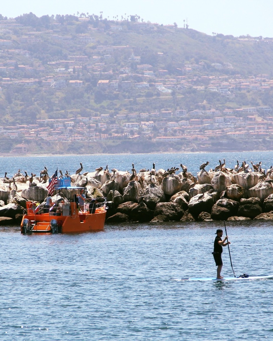 Mondays aren't so bad. 🌞🌊 #visitkingharbor
@redondogbb #kingharbor #redondobeach